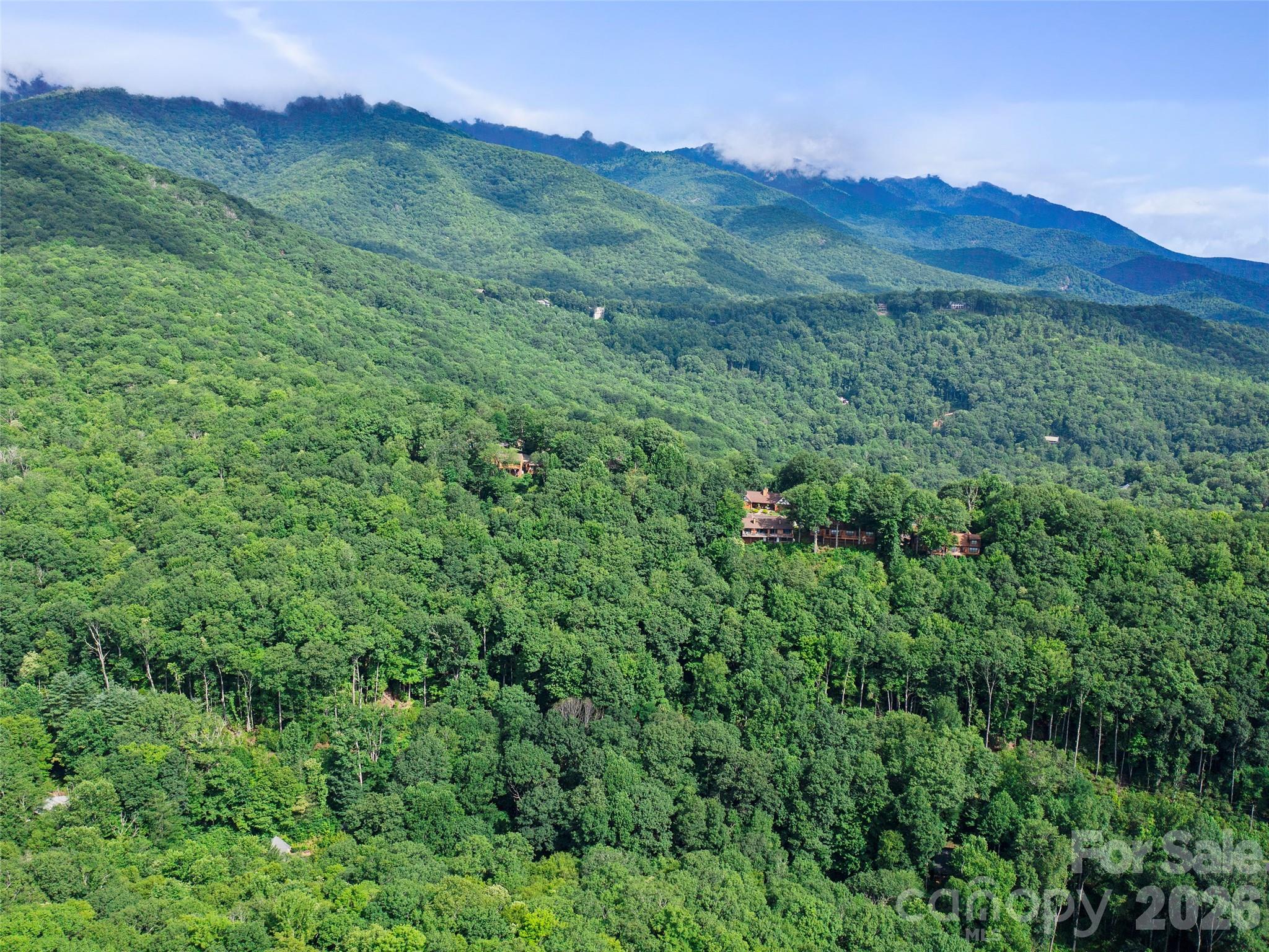 Mount Mitchell Lands West - Land