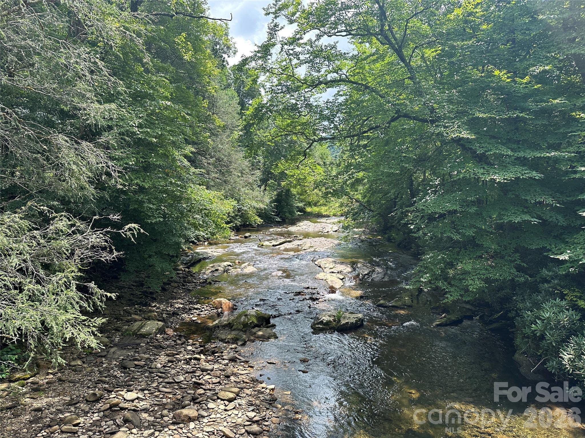 Mount Mitchell Lands West - Land