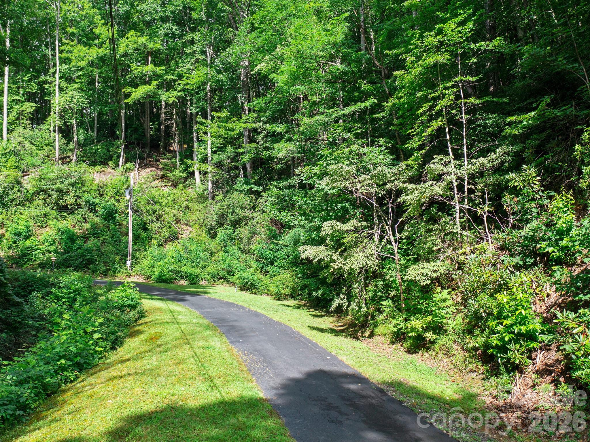 Mount Mitchell Lands West - Land