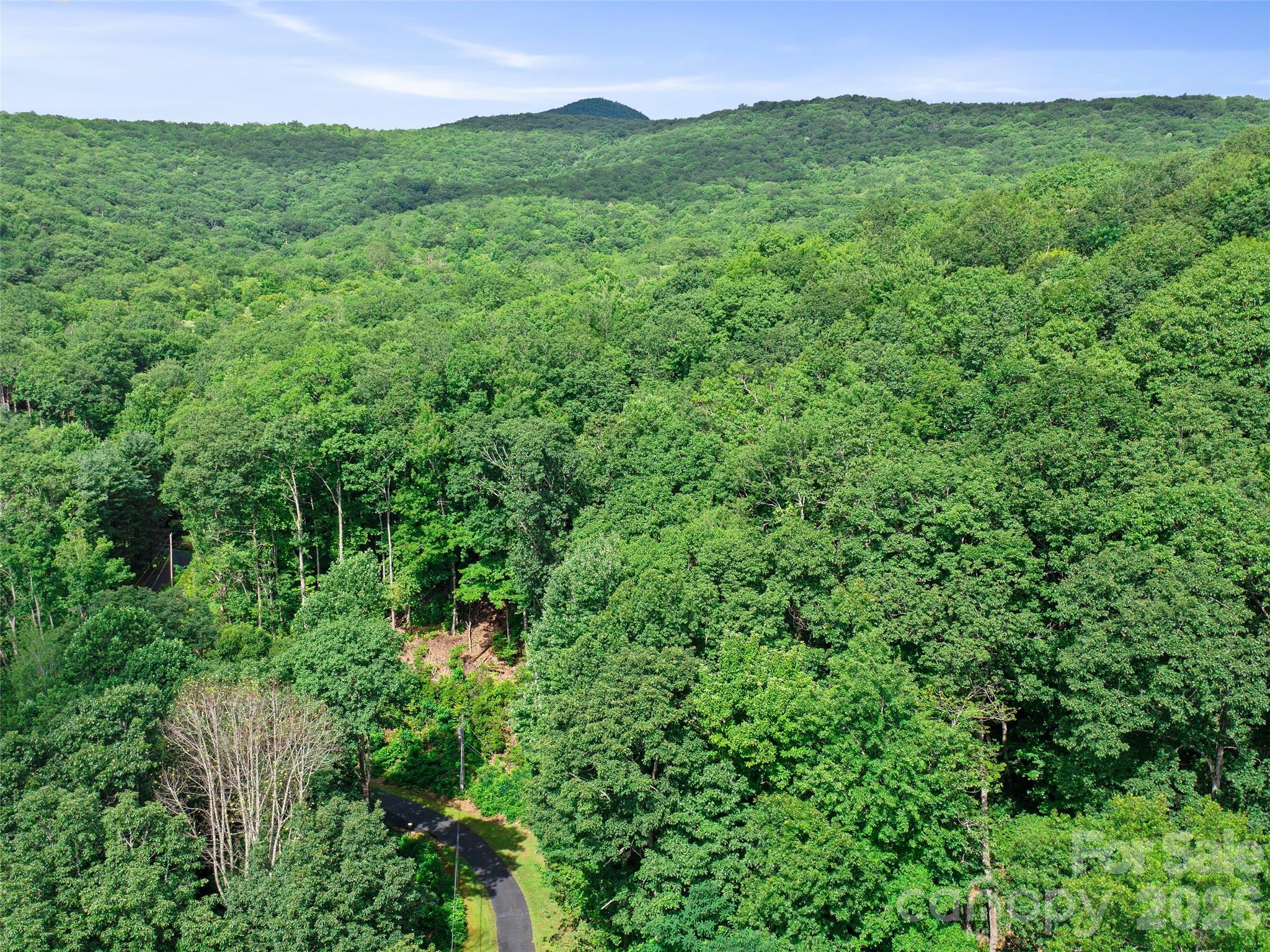 Mount Mitchell Lands West - Land