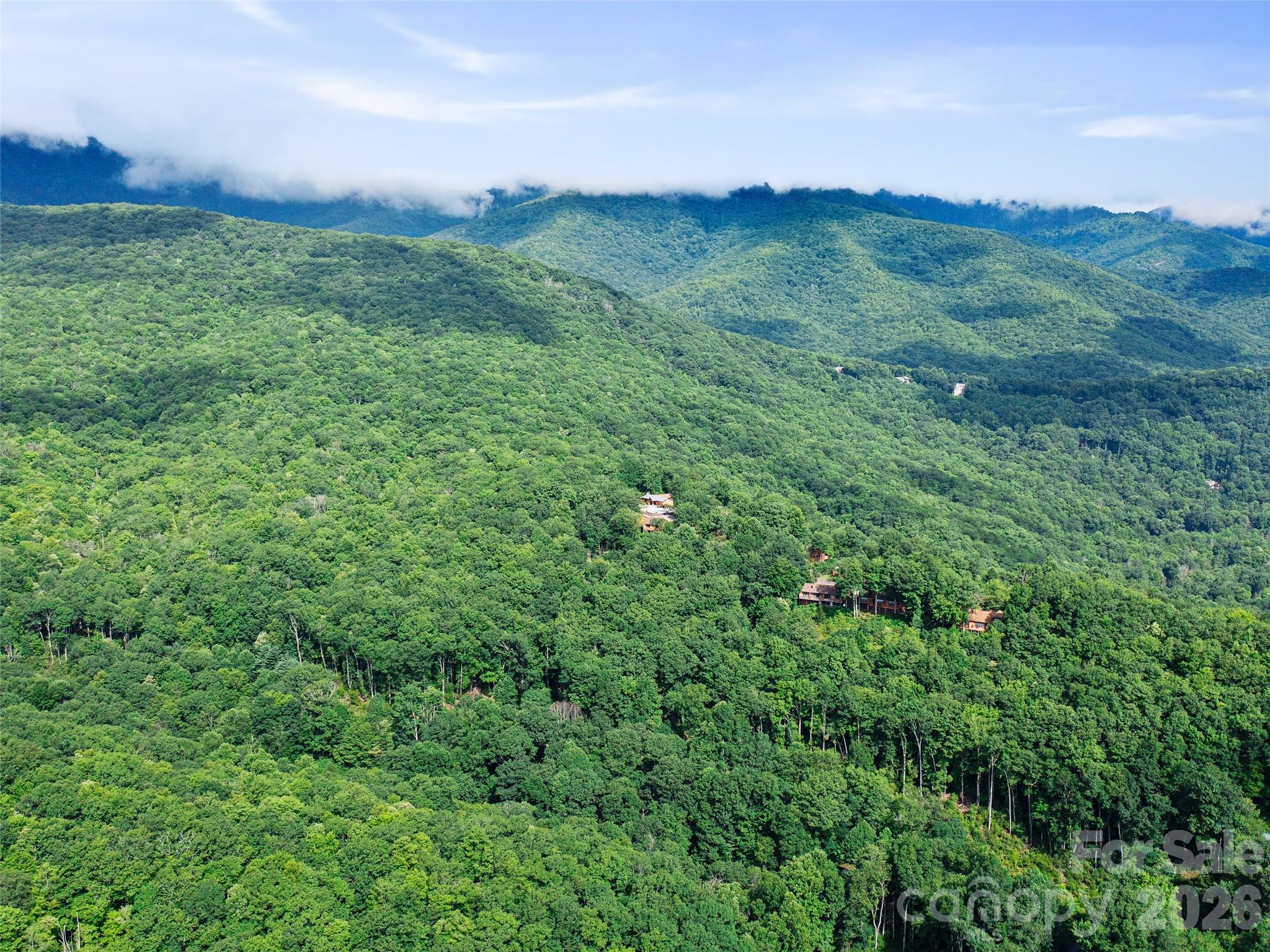 Mount Mitchell Lands West - Land