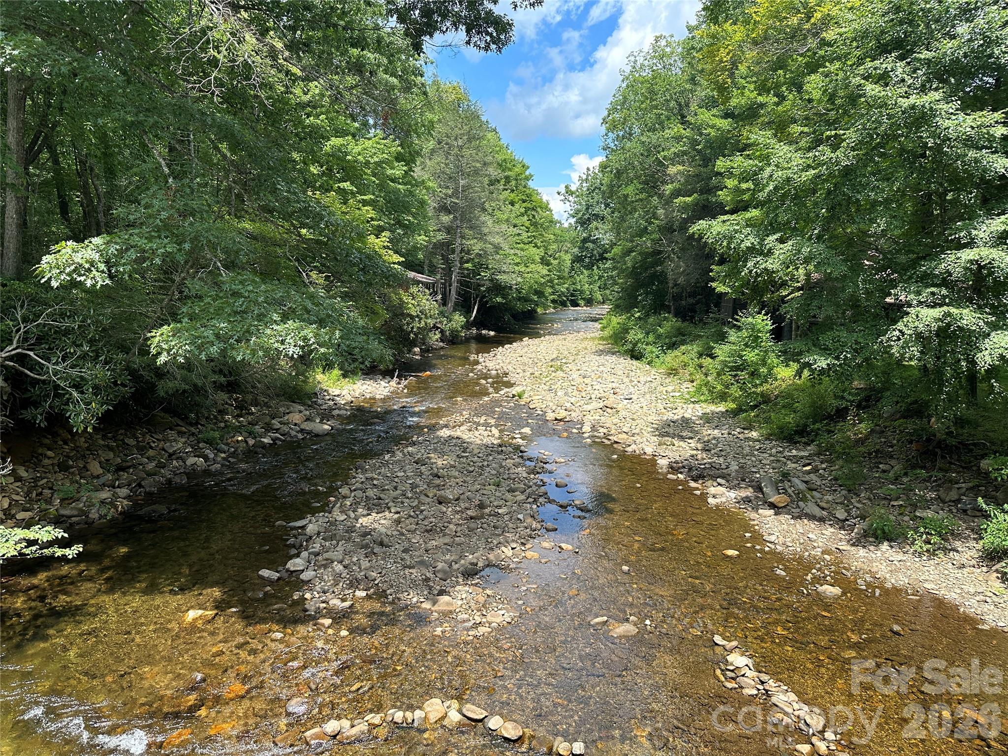 Mount Mitchell Lands West - Land
