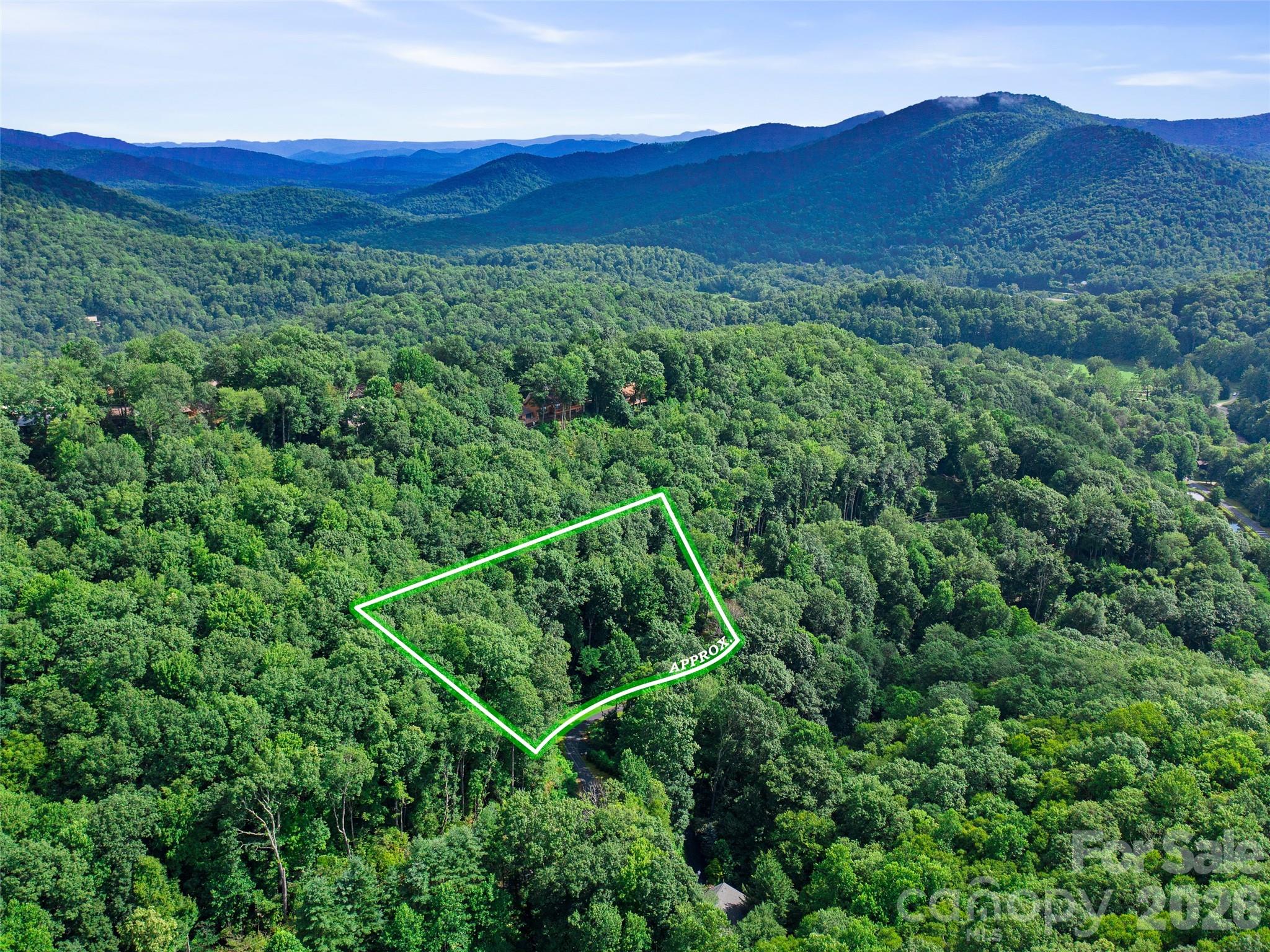 Mount Mitchell Lands West - Land