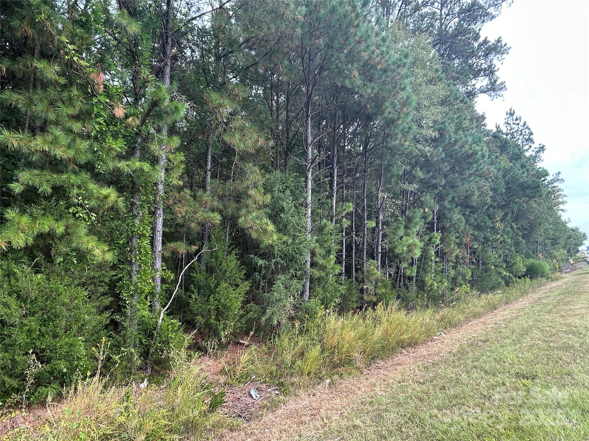 2 lots along Highway 9 at Rocky Creek in Chester, SC.  Large amount of floodplain from Rocky Creek but there is a portion along the western property line that is out of the flood zone.  Mature pine and hardwood trees provide lots of shade and privacy. Land is level and good soils for gardening or animals. Convenient location along Chester's main highway to Richburg. 

Both Chester County parcels 089-00-00-003-000 & 089-00-00-004-000 being offered together.