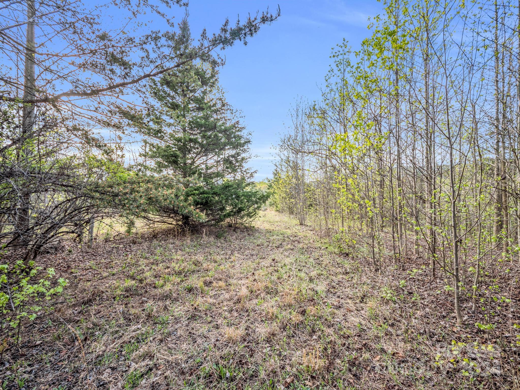 Cherry Mountain Trail - Land