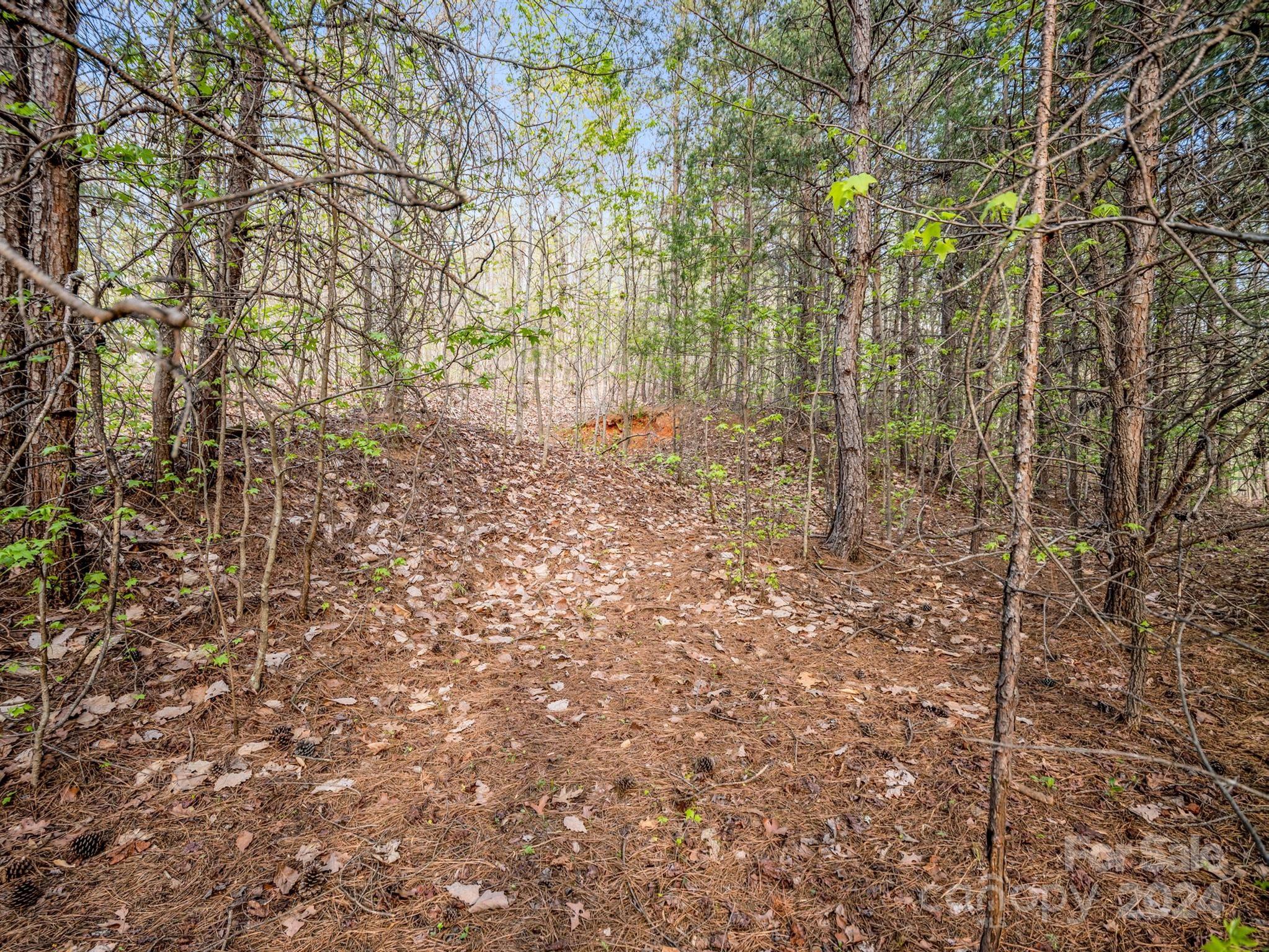Cherry Mountain Trail - Land