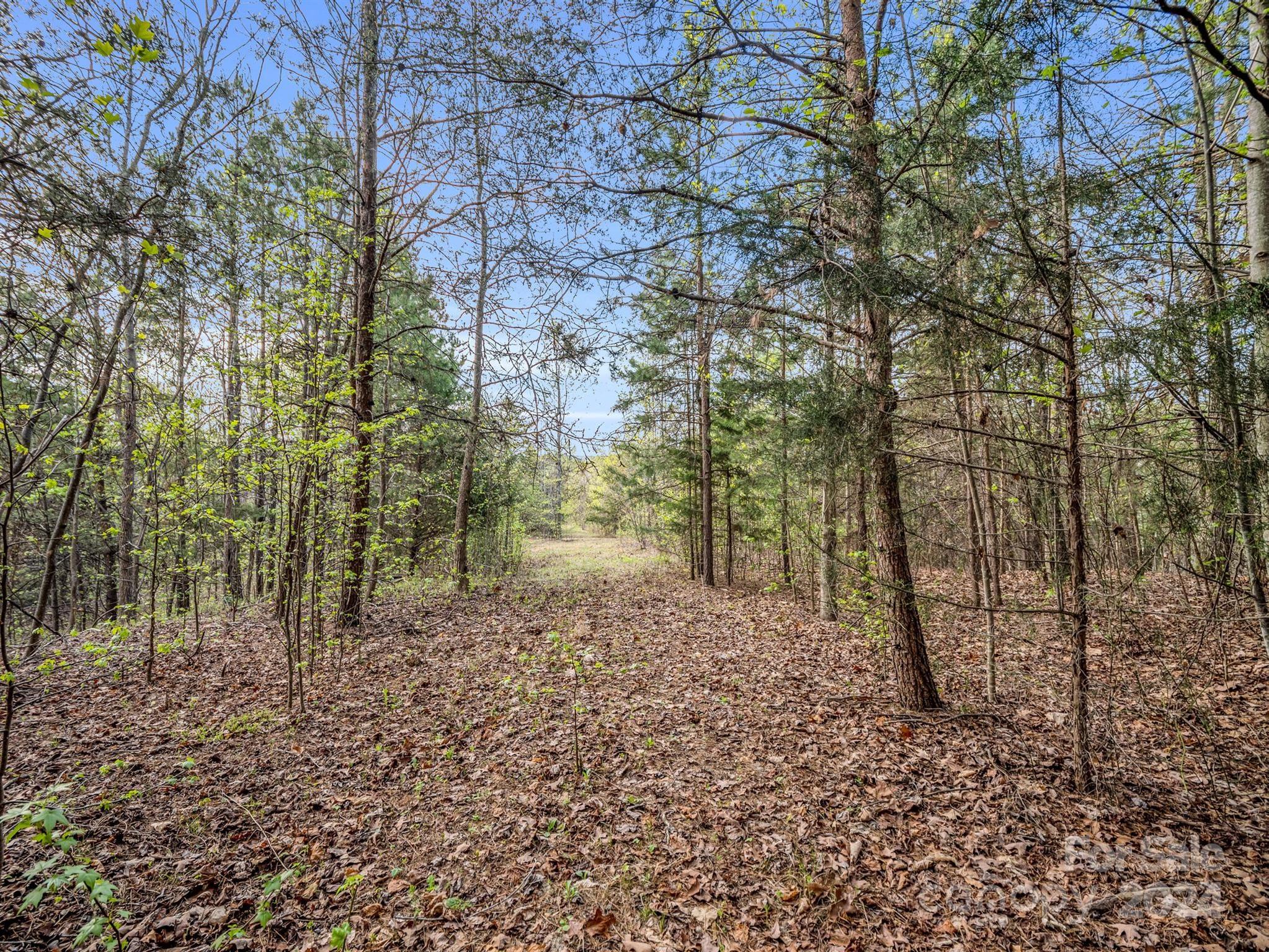 Cherry Mountain Trail - Land