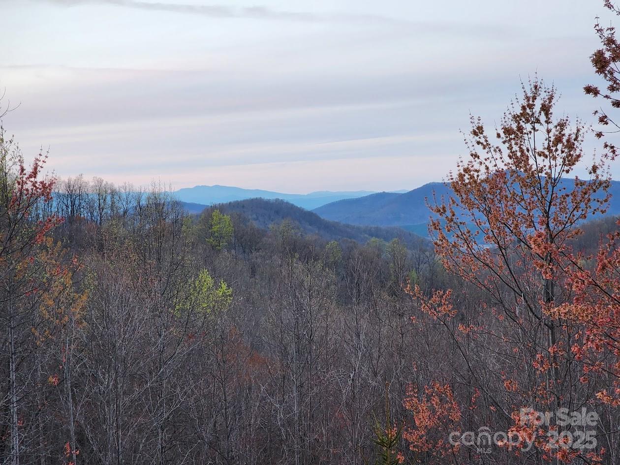 Yellowtop Mountain Estates - Residential