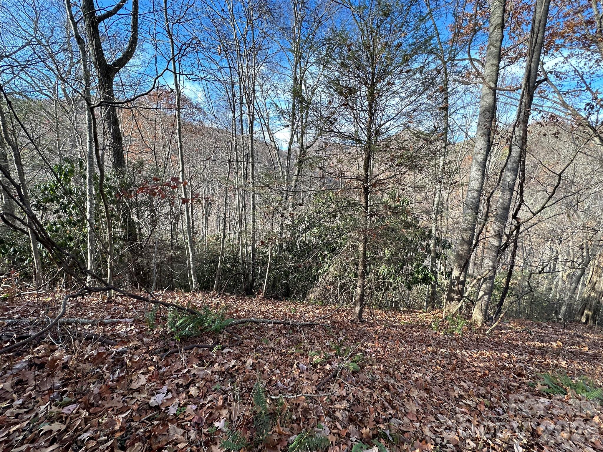 Rock House Cove - Land