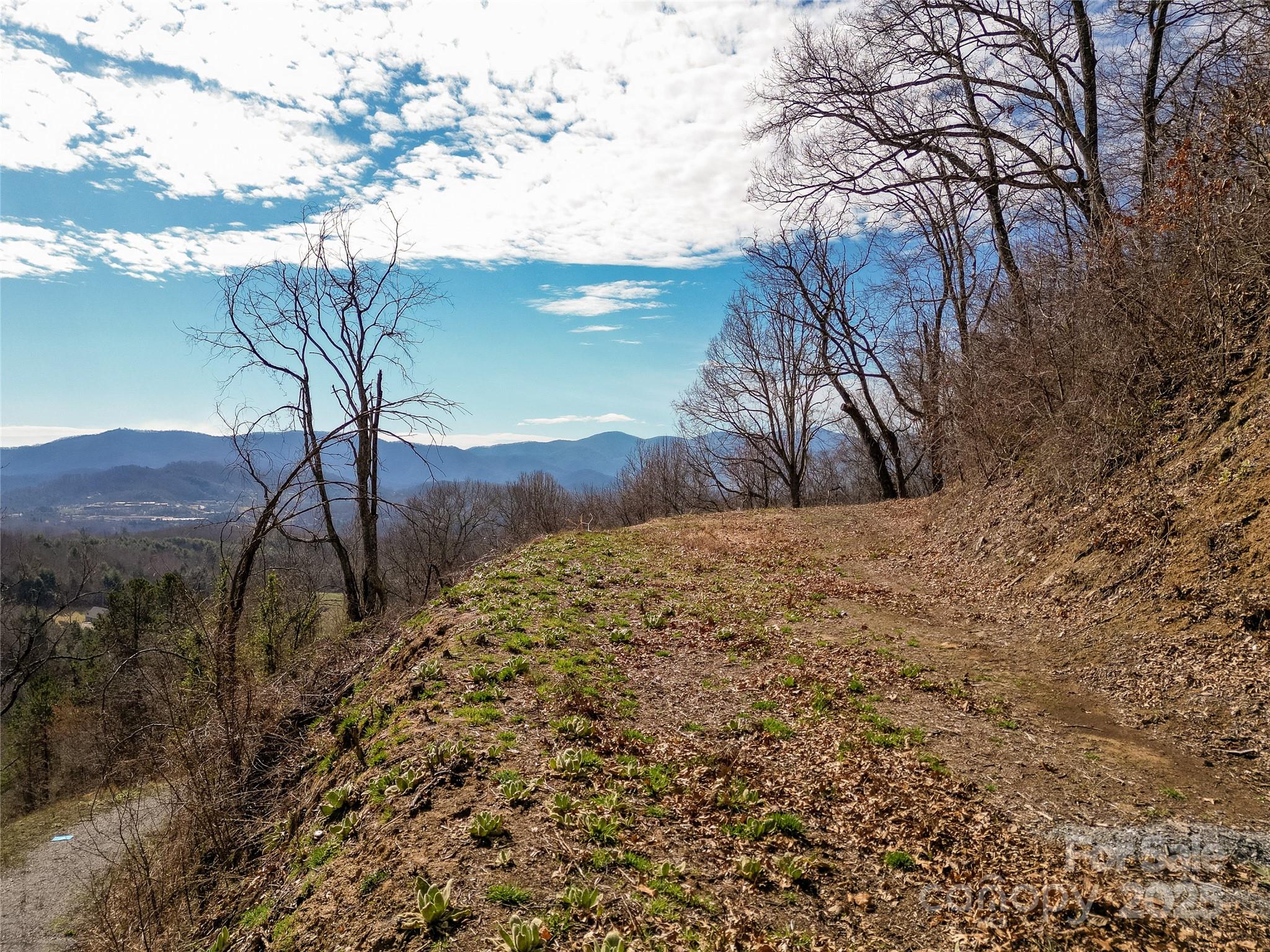 Junaluska Highlands - Land