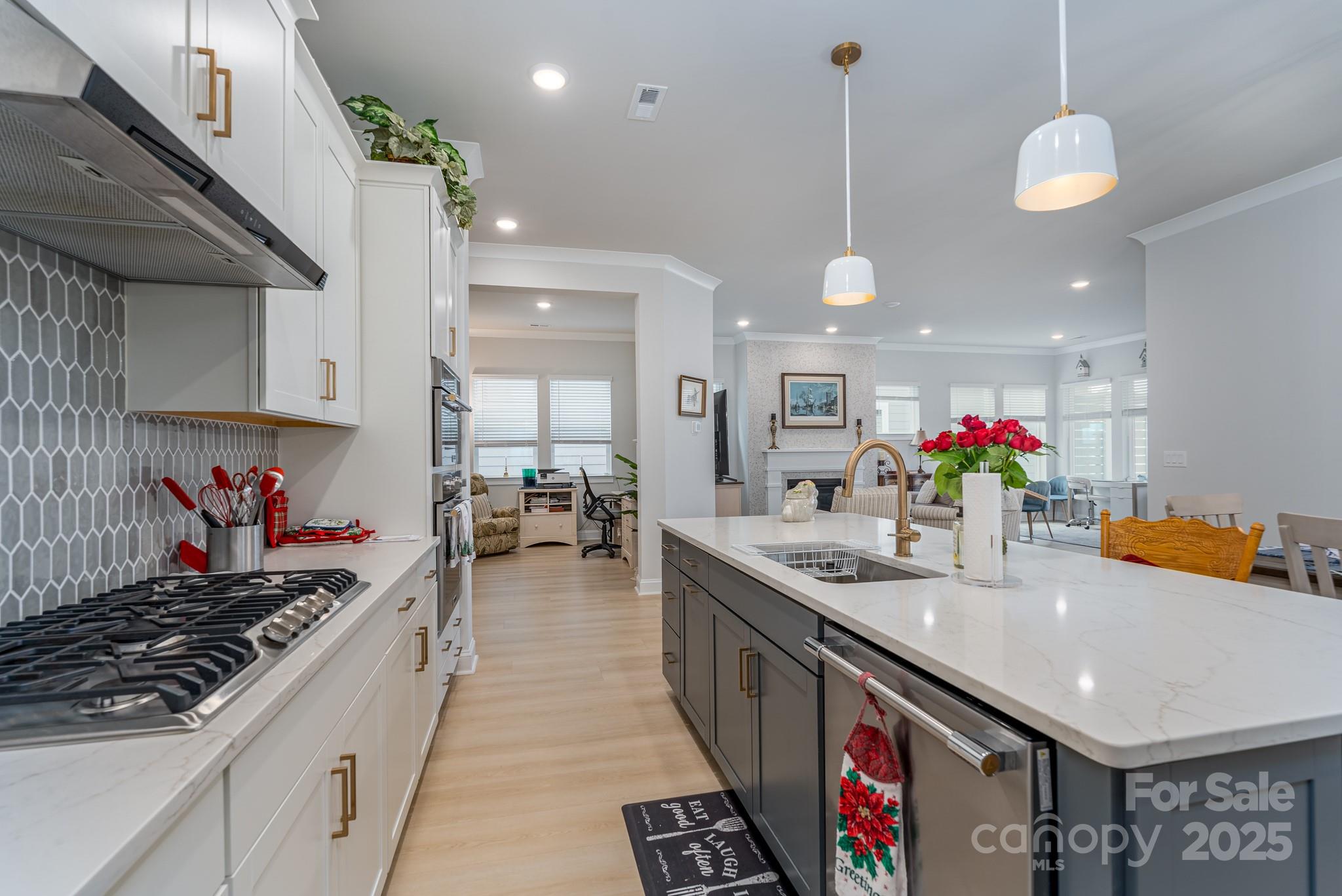 Encore at Streamside - Residential