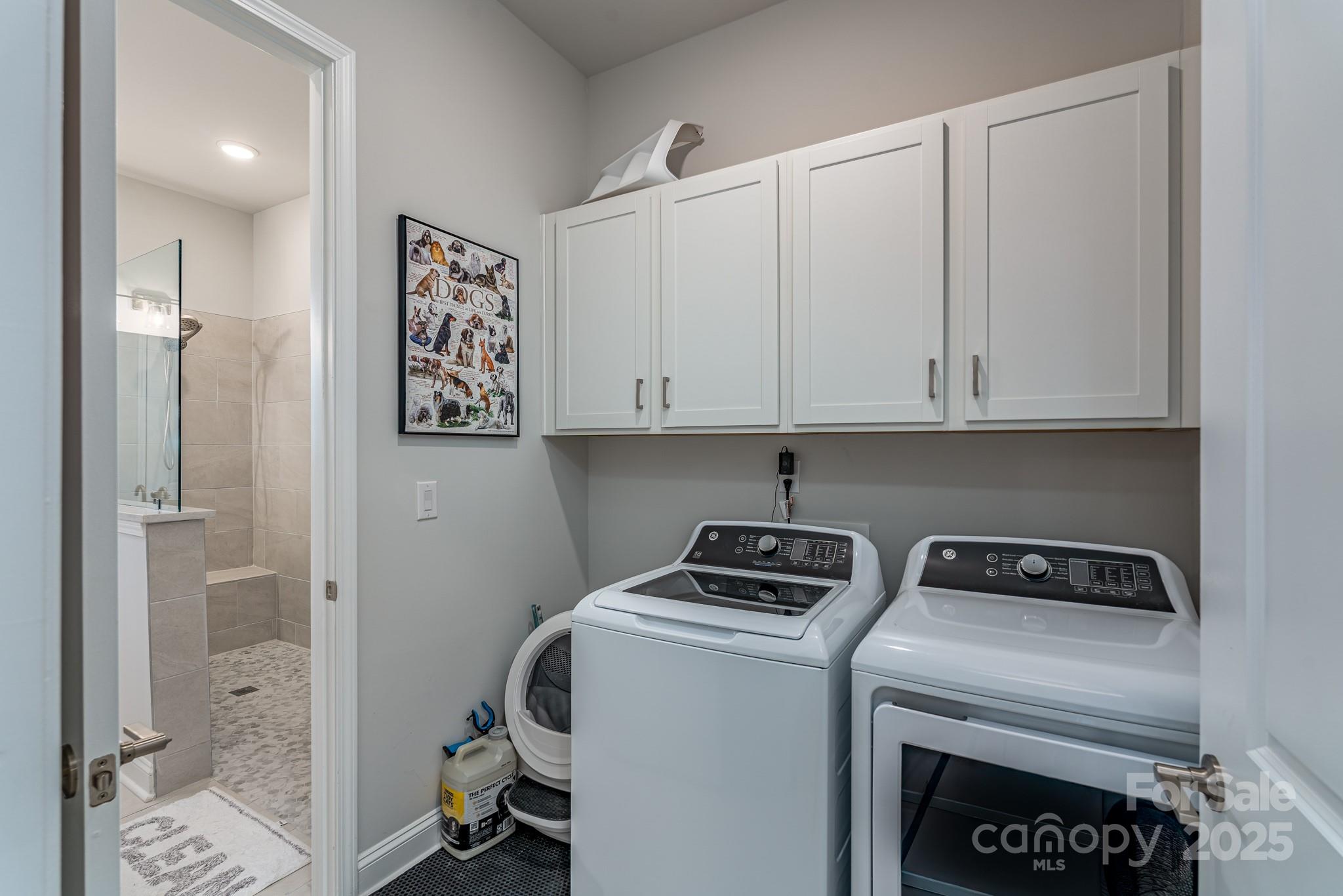 Encore at Streamside - Residential