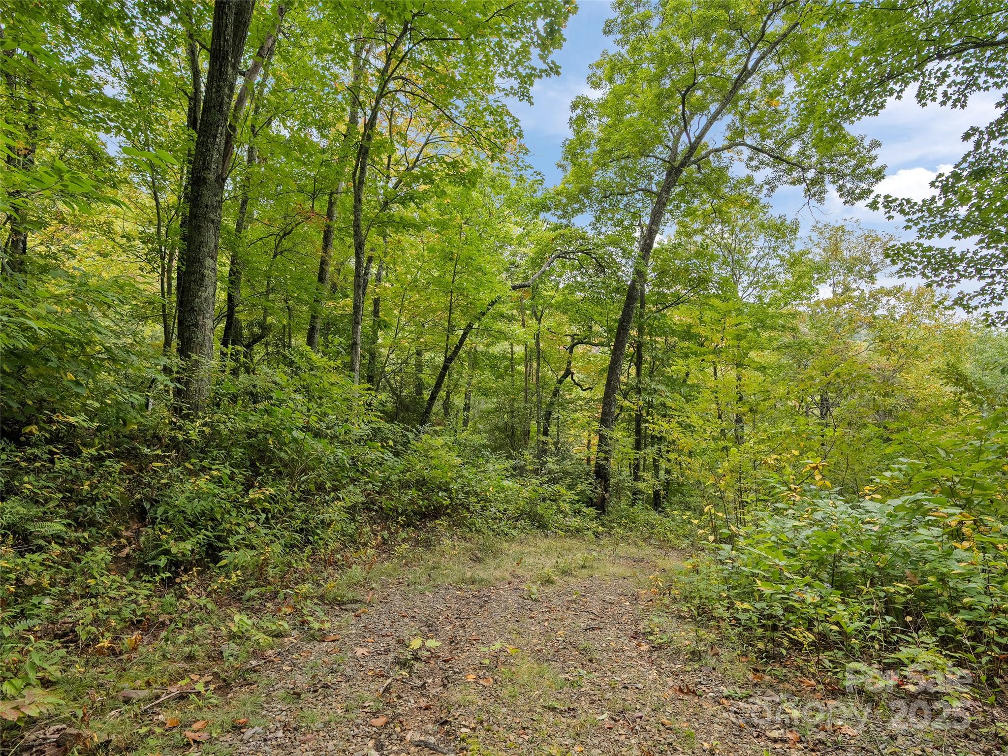 Highland Forest - Land