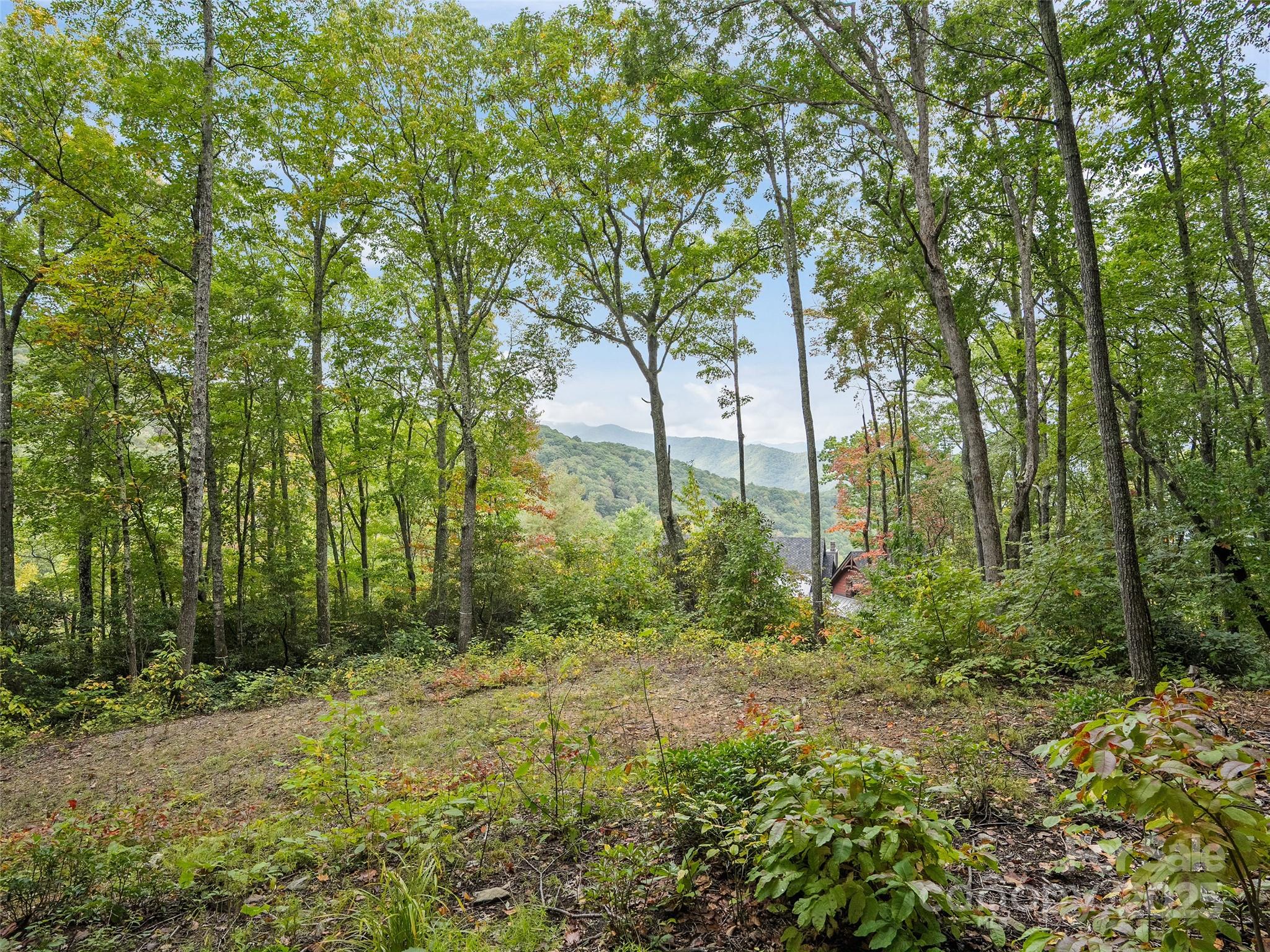 Highland Forest - Land