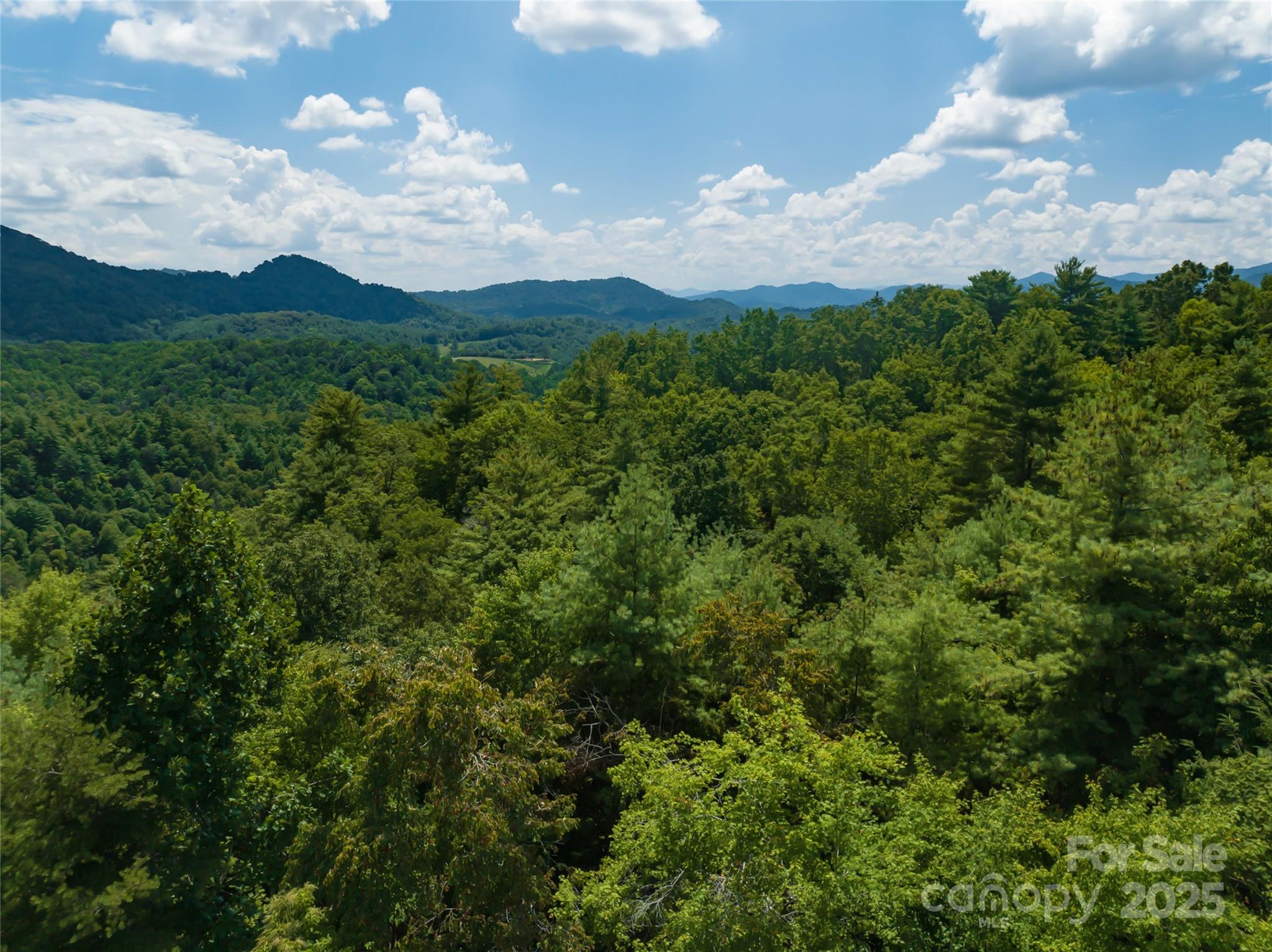 French Broad Crossing - Land