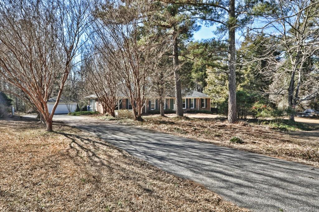 Briar Patch - Residential
