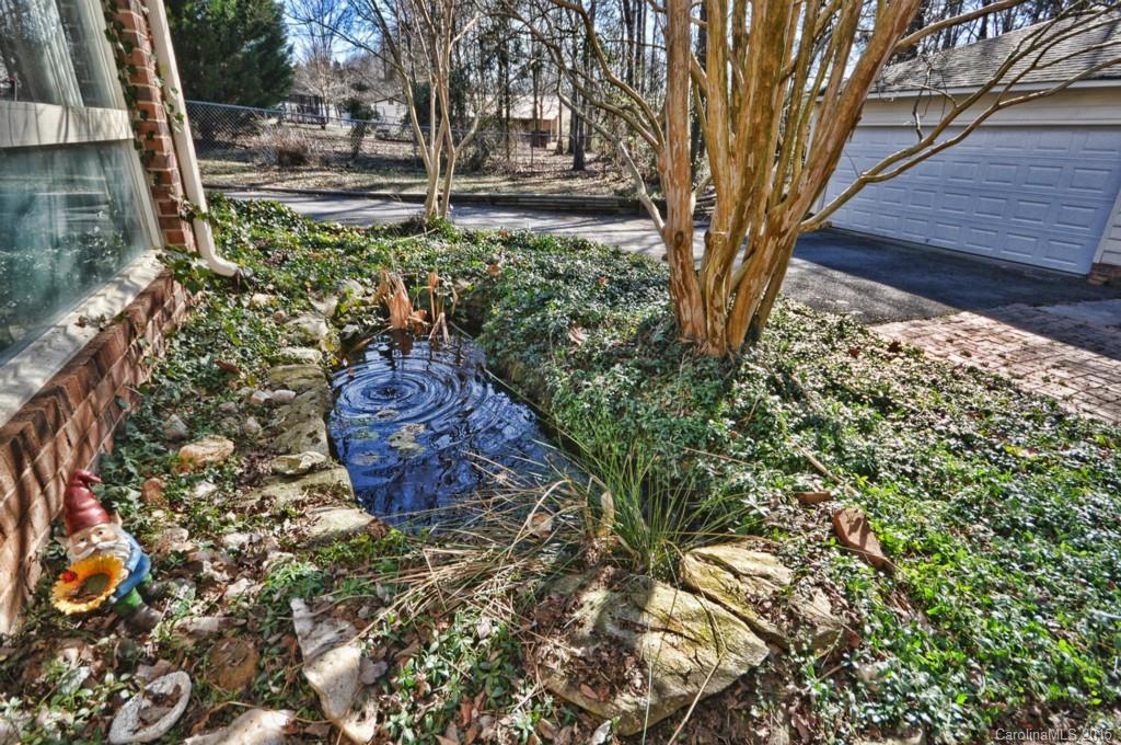 Briar Patch - Residential