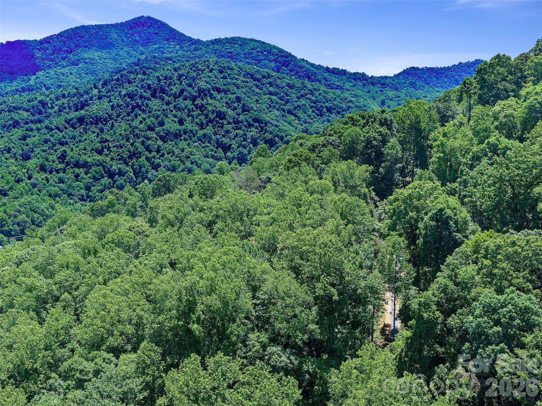 Discover the potential of this beautiful +/-2.06 -acre homesite in Ashebrook Estates, featuring lovely winter mountain views and endless possibilities for your custom home or investment venture. Tucked among the trees in a peaceful mountain setting, this property offers the perfect combination of privacy and convenience. Ideally located just off I-40, you'll be less than 15 minutes from Canton and Candler, and approximately 20 minutes from the shopping, dining, healthcare, and entertainment options of Asheville and Waynesville. Whether you're a builder, developer, investor, or future homeowner, this parcel provides an excellent opportunity to bring your vision to life. An existing plat identifies a recorded right-of-way access where the current access road is located, helping streamline future development plans. If you've been searching for the ideal mountain property with great accessibility and strong potential, this Candler opportunity is worth a closer look. Schedule your showing today and explore all that this property has to offer.