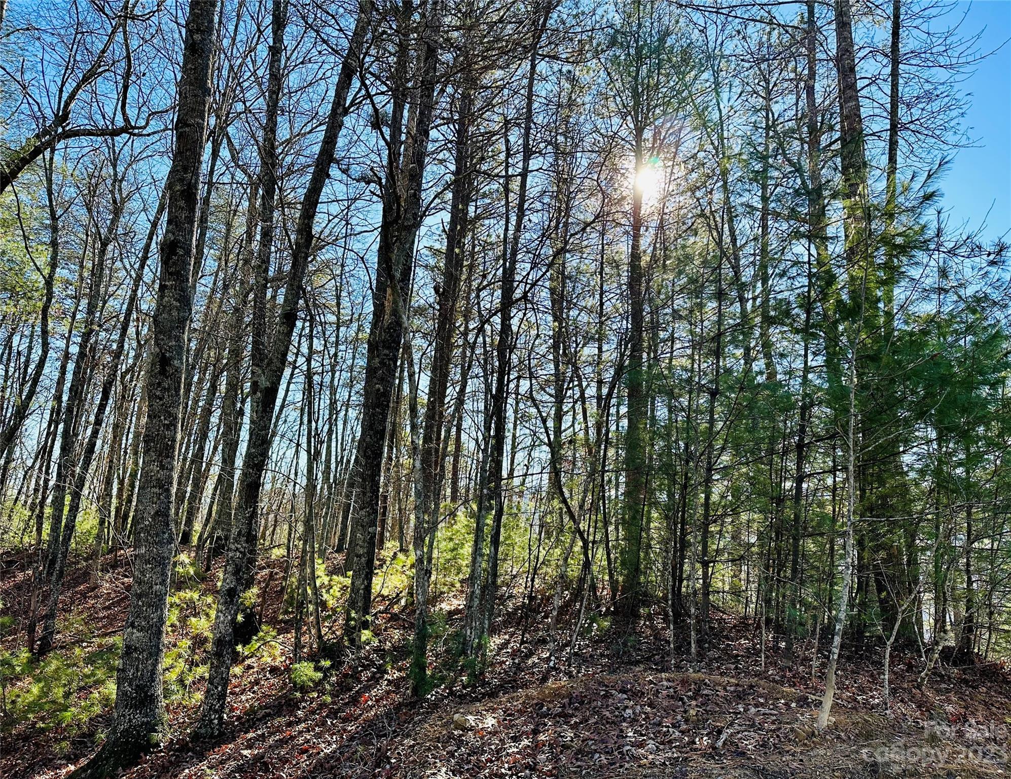 French Broad Crossing - Land