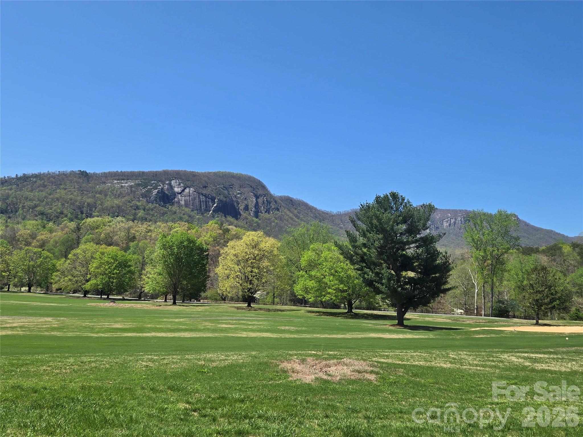 Rumbling Bald on Lake Lure - Residential