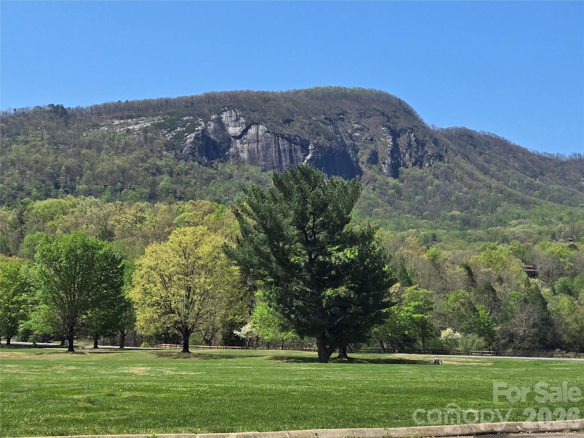 Rumbling Bald on Lake Lure - Residential