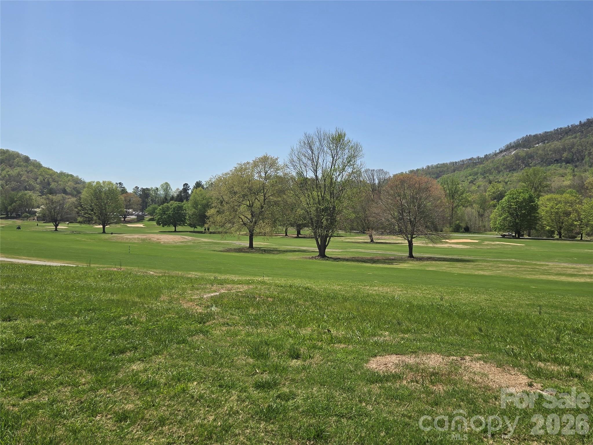Rumbling Bald on Lake Lure - Residential