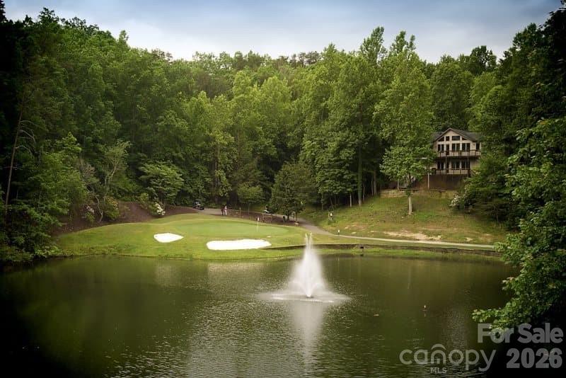 Rumbling Bald on Lake Lure - Residential