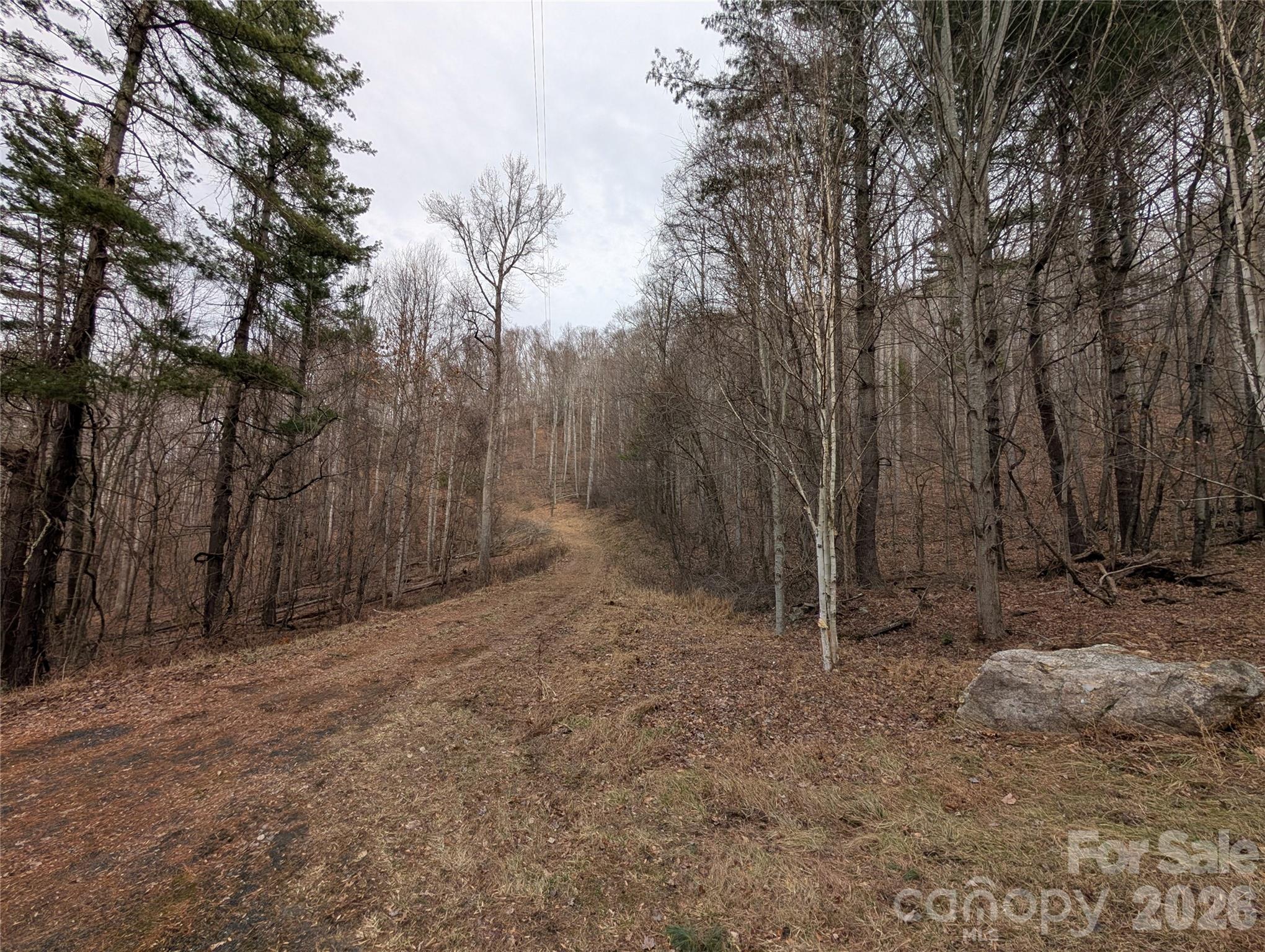 Cane Creek - Land
