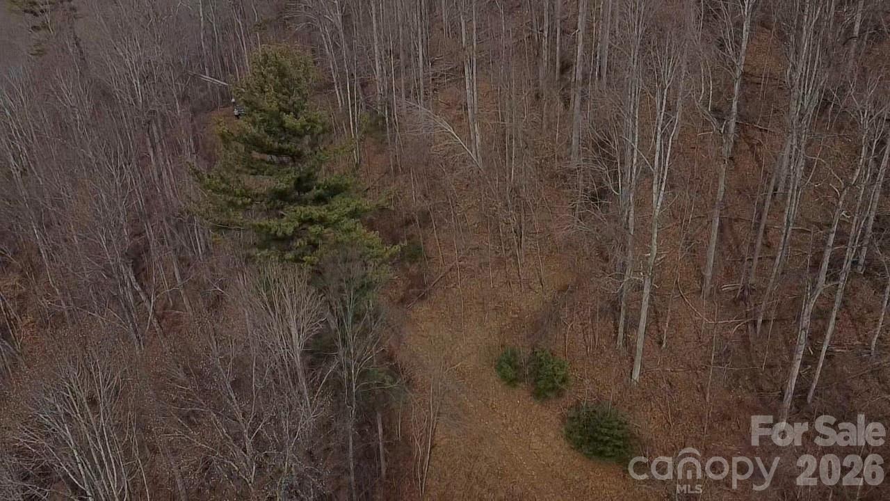 Cane Creek - Land