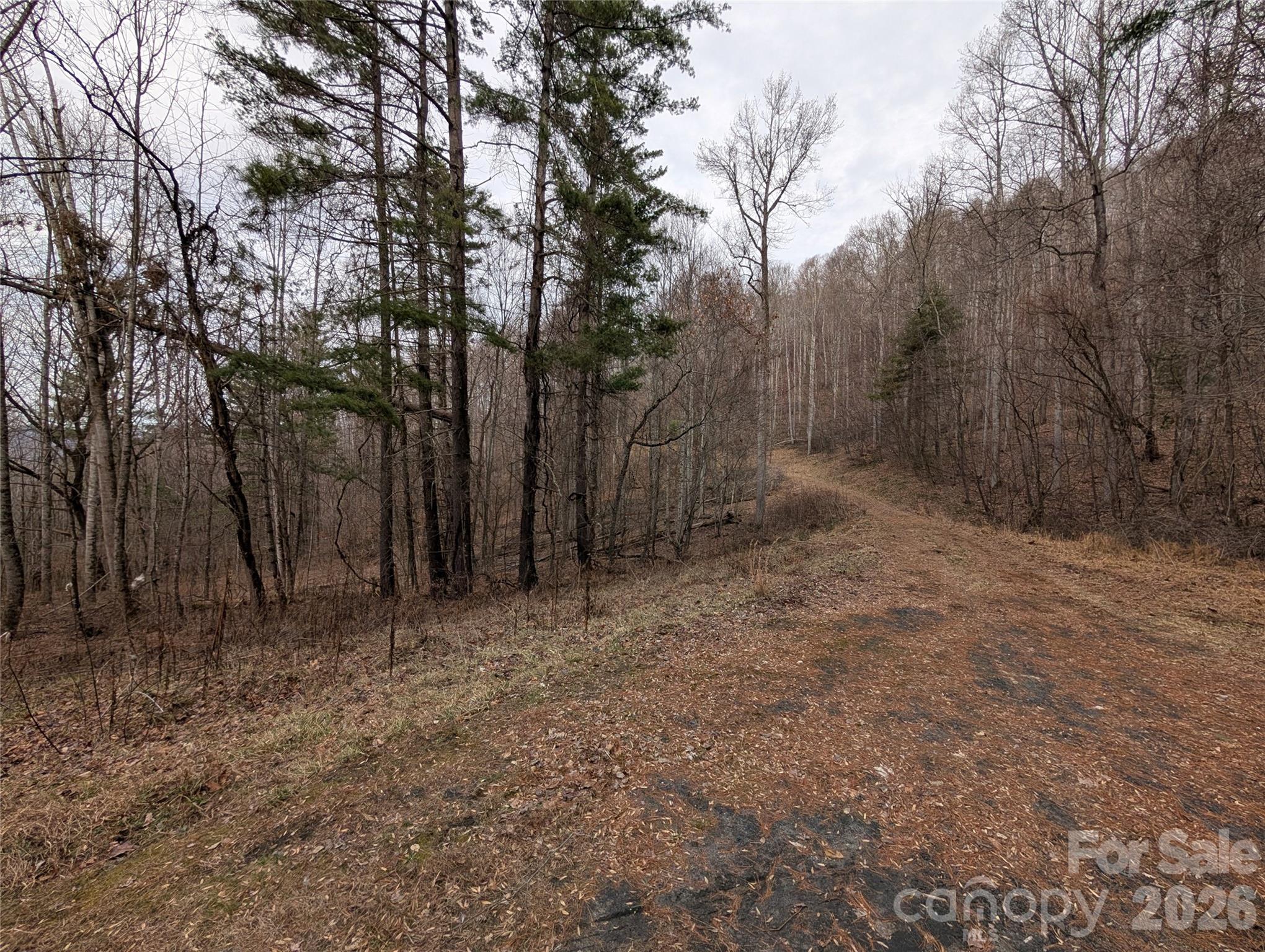 Cane Creek - Land