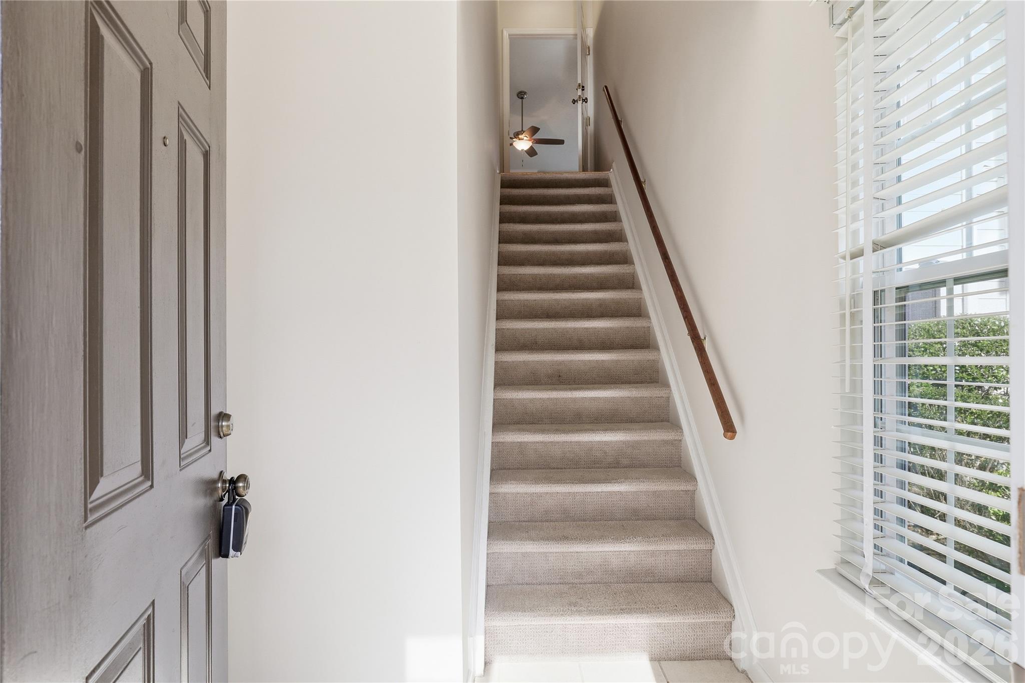 Park Walk - Residential