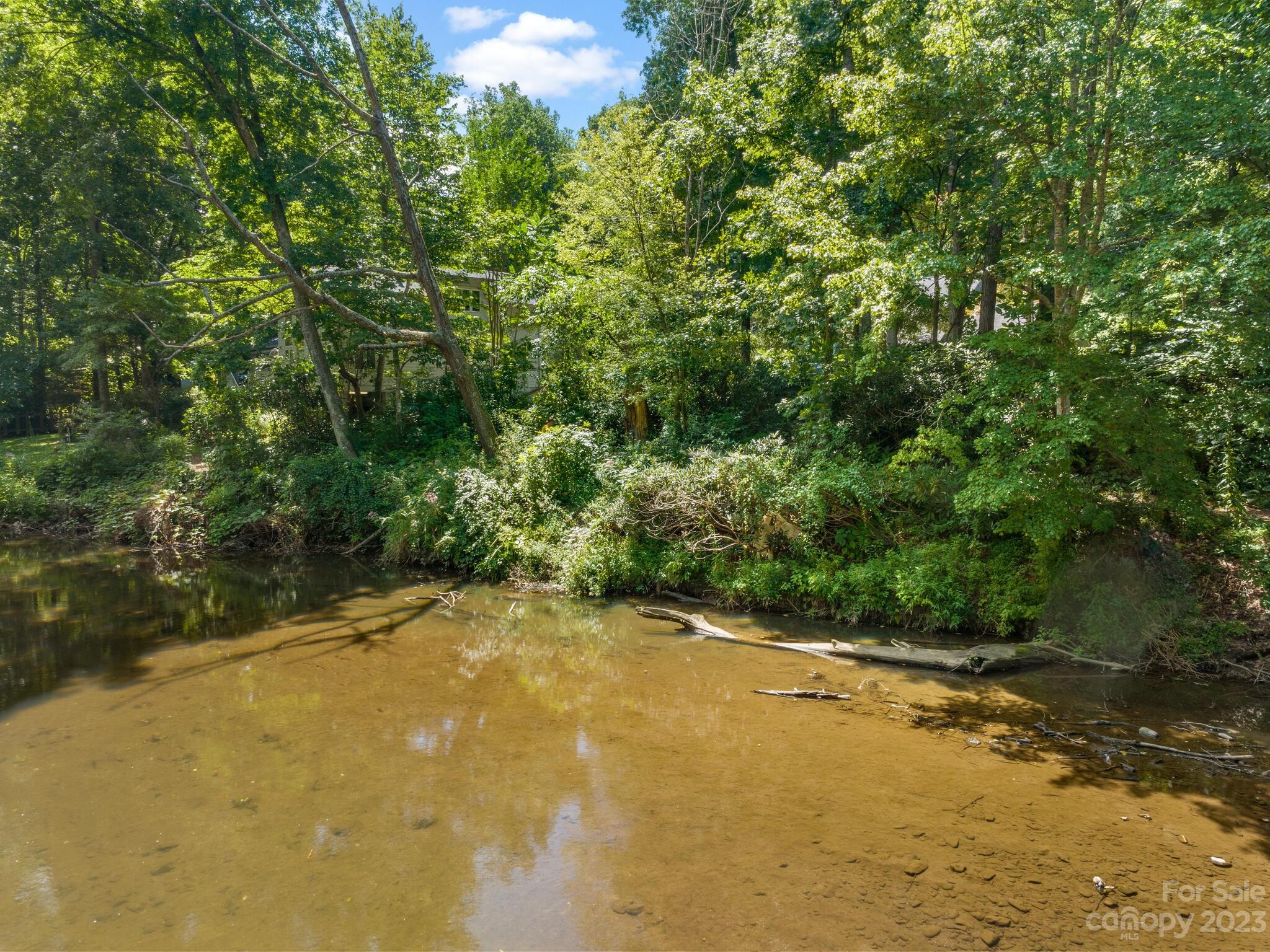 Botany Woods - Land