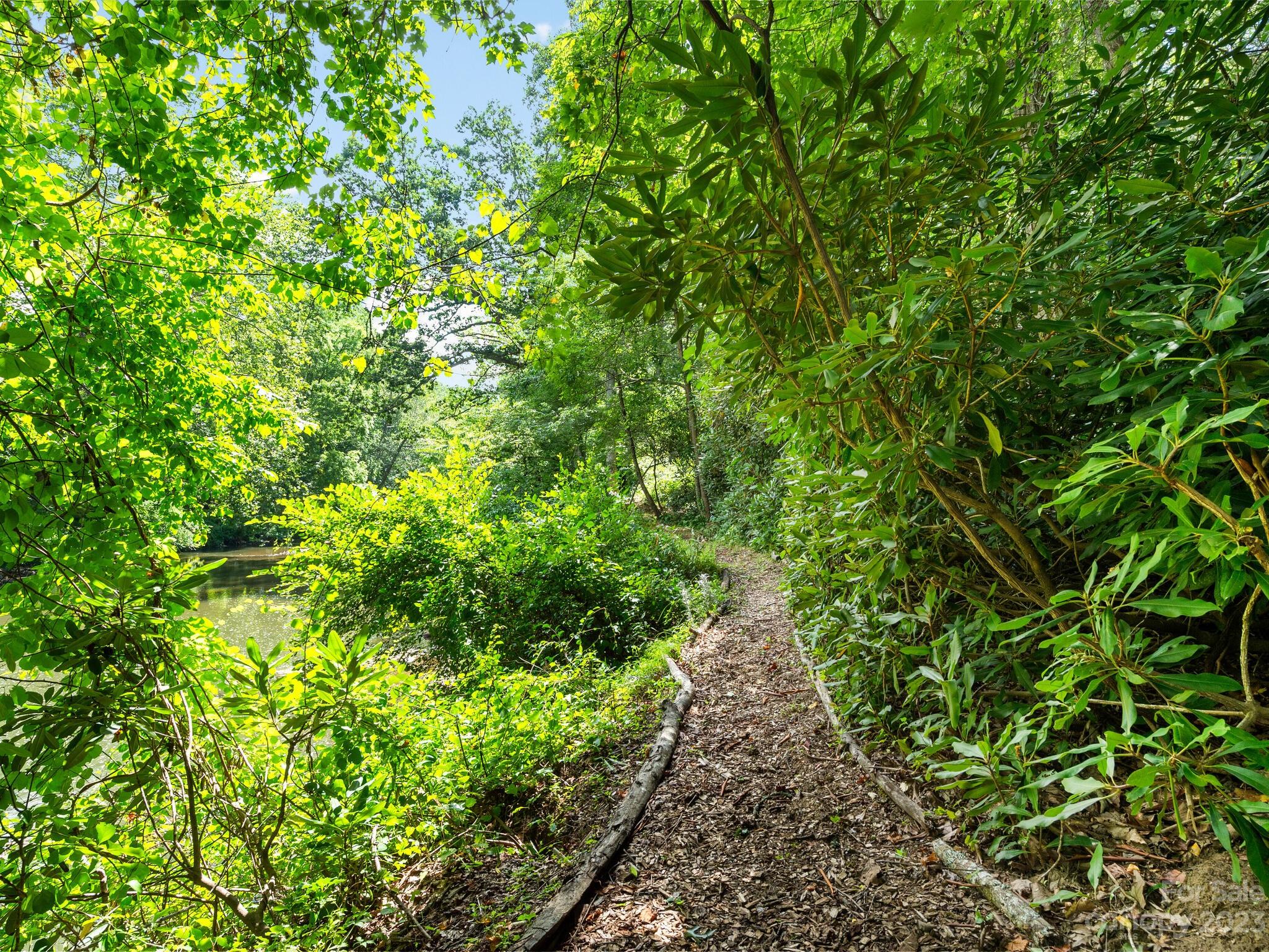 Botany Woods - Land