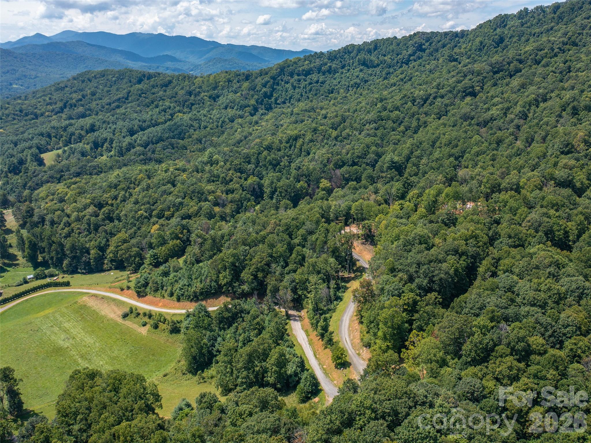 Locust Rough Mountain - Land