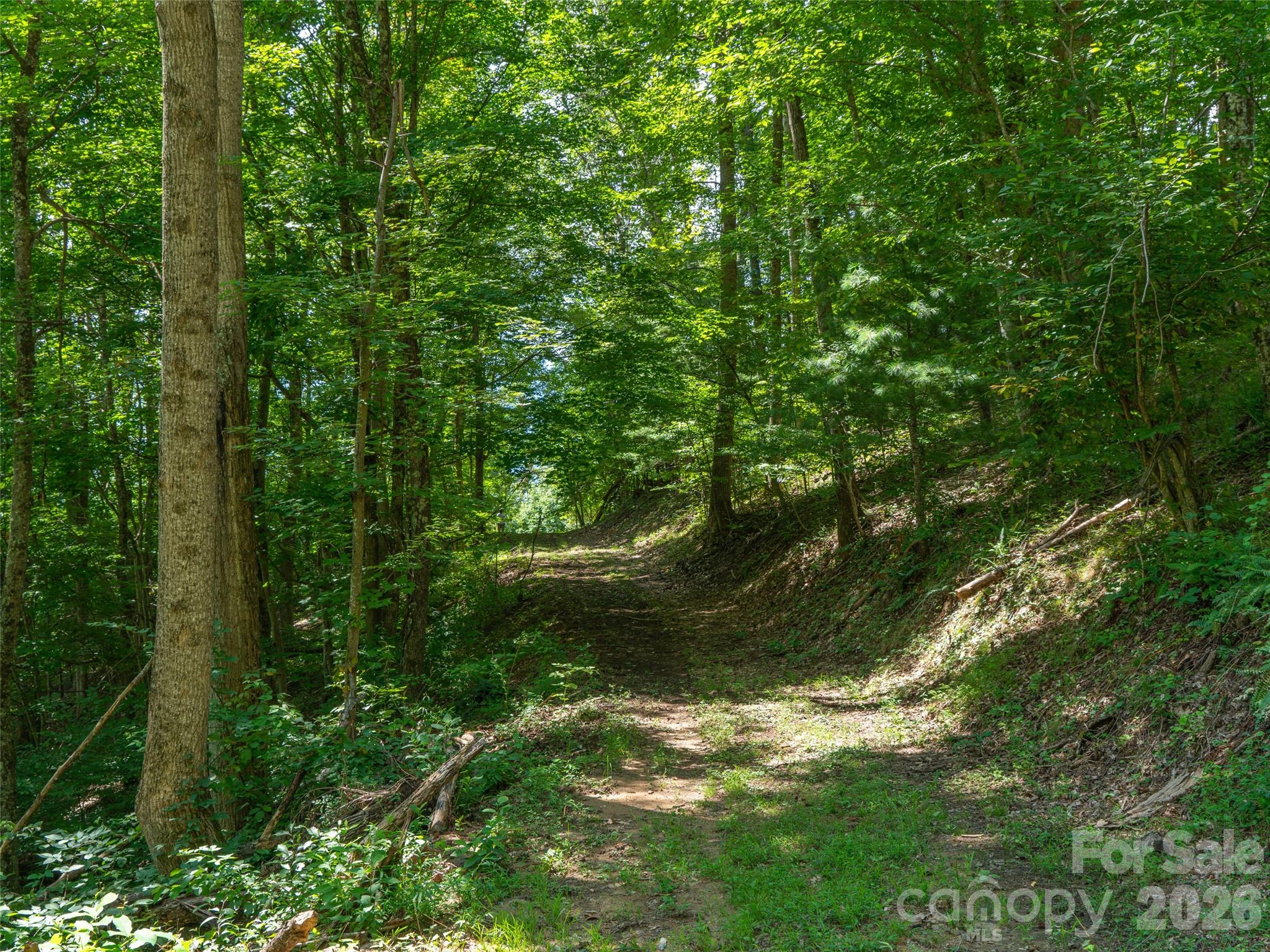 Locust Rough Mountain - Land