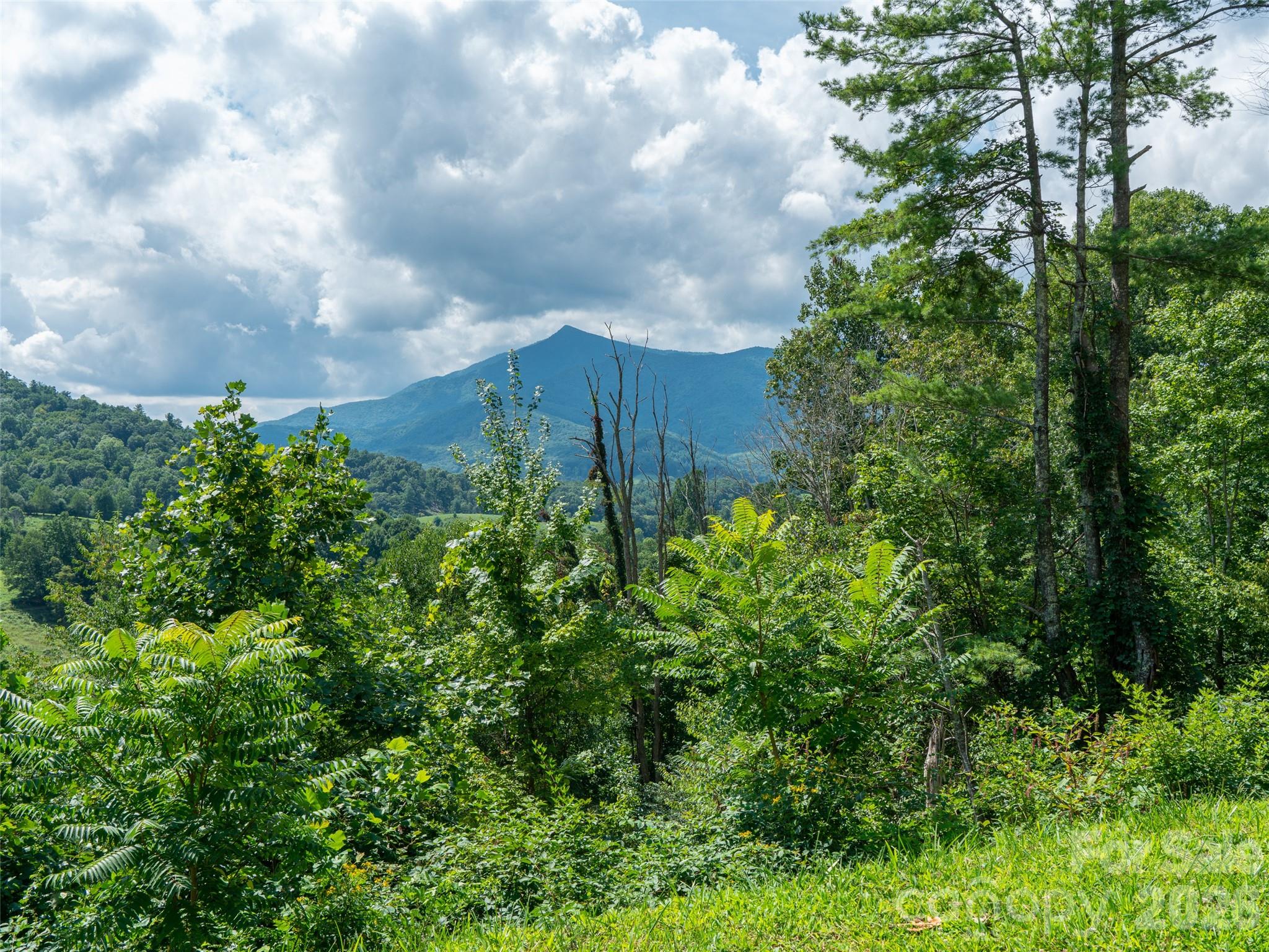 Locust Rough Mountain - Land