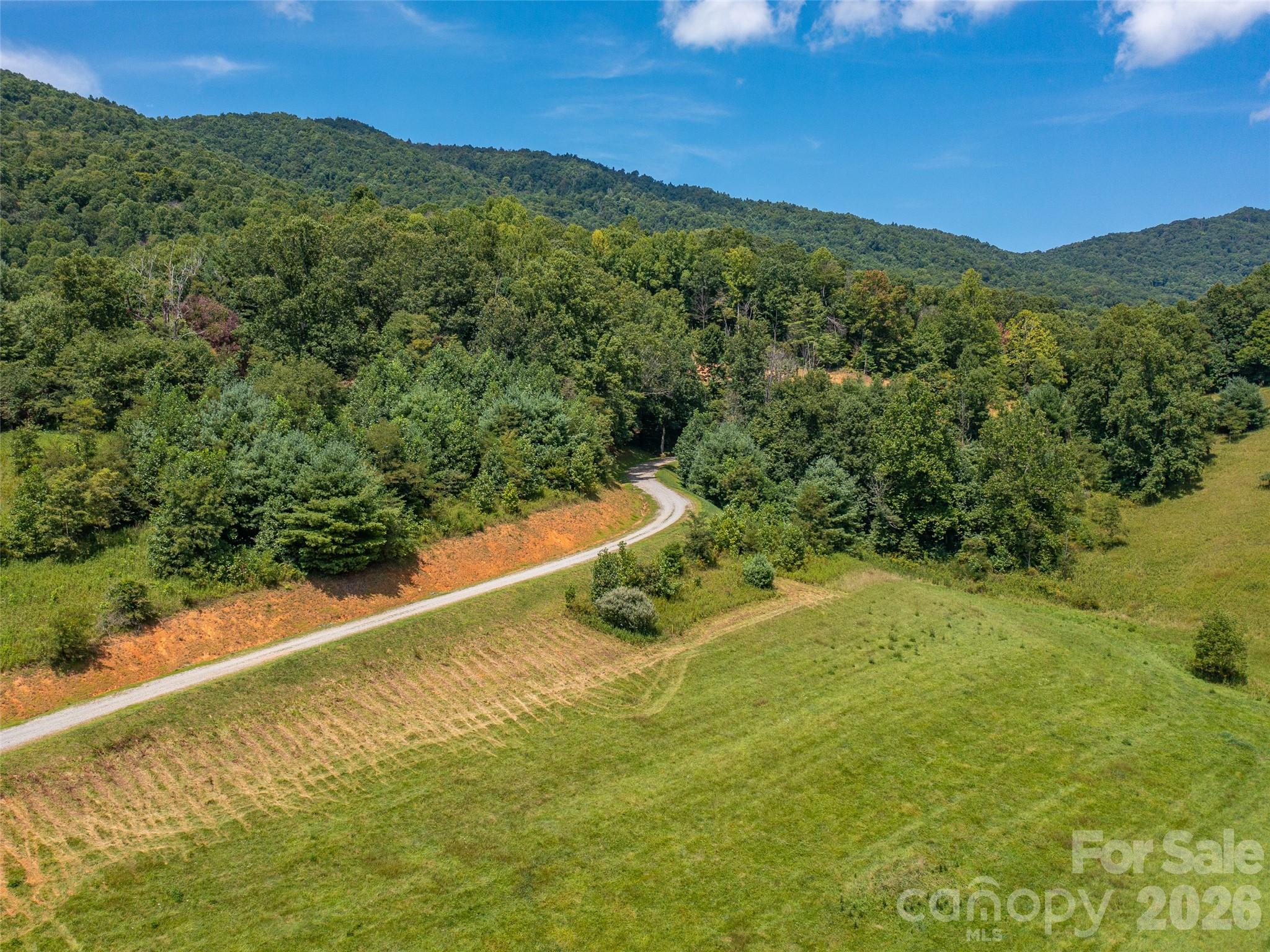 At just under 4 acres Lot 5 is the largest lot for sale in the Phase I of this new up and coming development, called Locust Rough Mountain. The property has a beautiful nearly flat proposed building site area with driveway rough cut in between lot with a mature grand tree in center which allows privacy and overlooks adjacent farm, barn pastureland in middle ground with a winter view of the Black Mountain Range and Celo Knob. Located just four minutes from the quaint town of Burnsville in Yancey County (known for 3 rivers, 10 of the highest peaks East of the Rockies, plenty of hiking and mountain bike trails, sporting spectacular vistas. The area is known to draw a ton of artist.