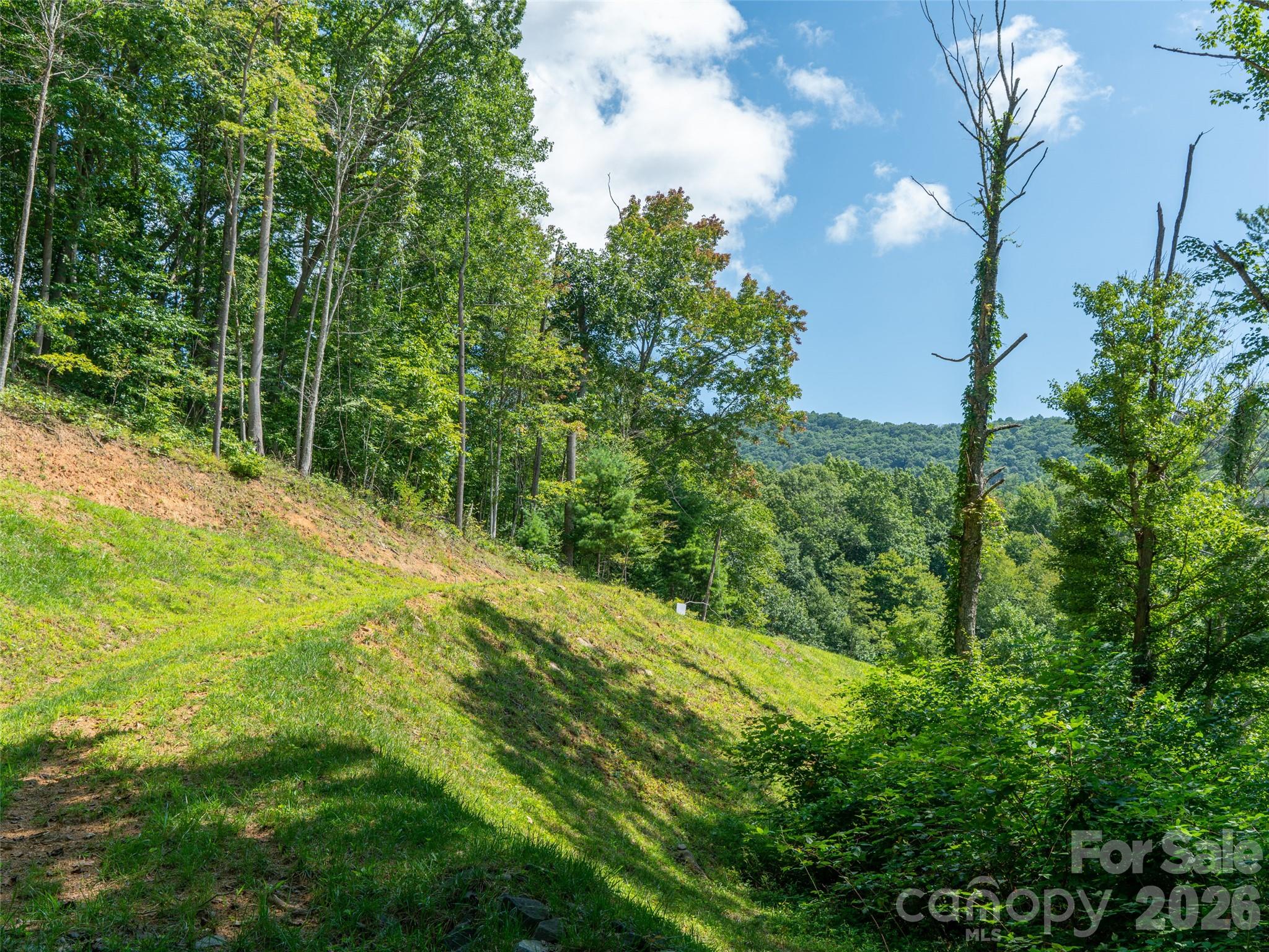 Locust Rough Mountain - Land