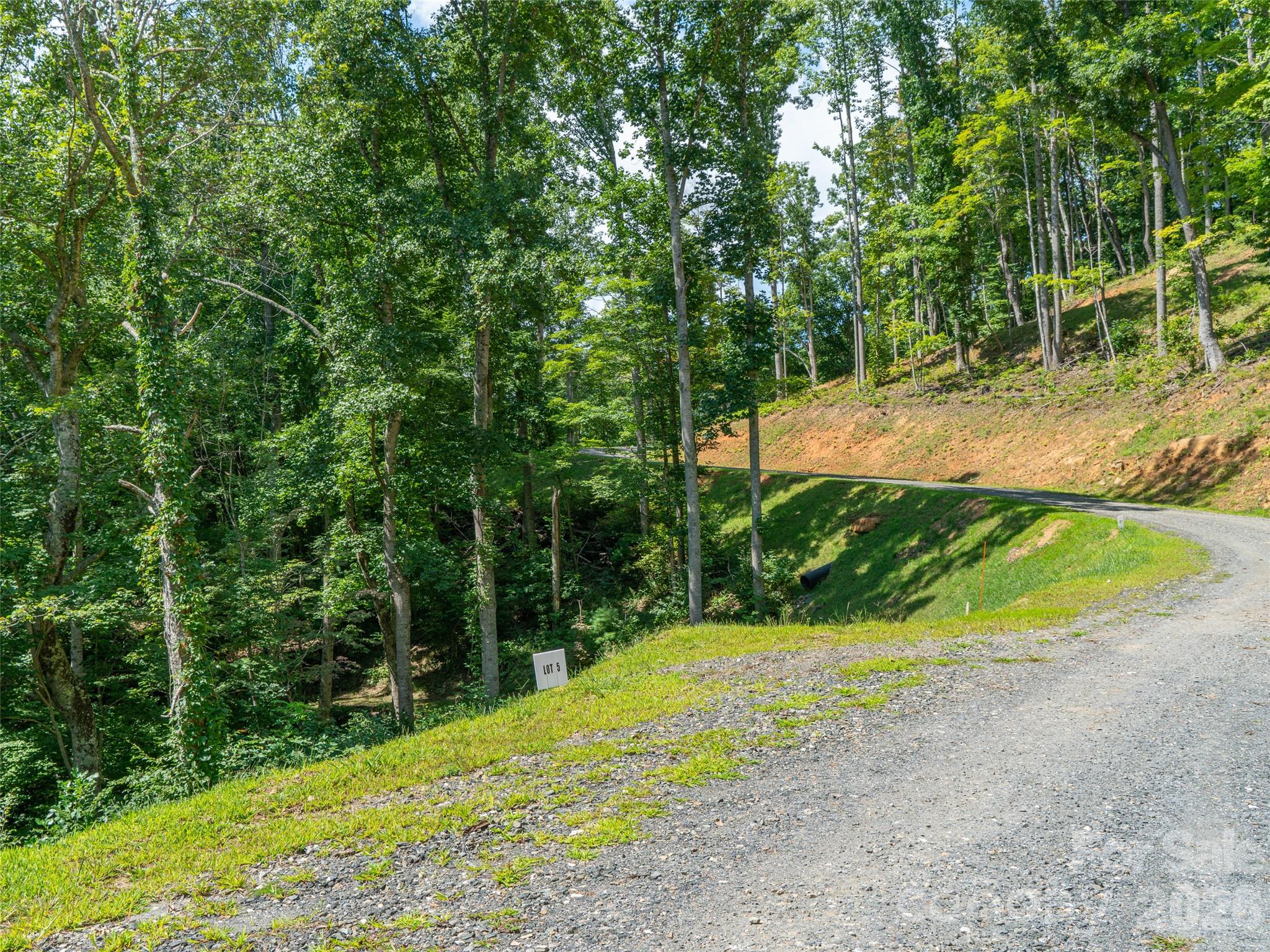 Locust Rough Mountain - Land
