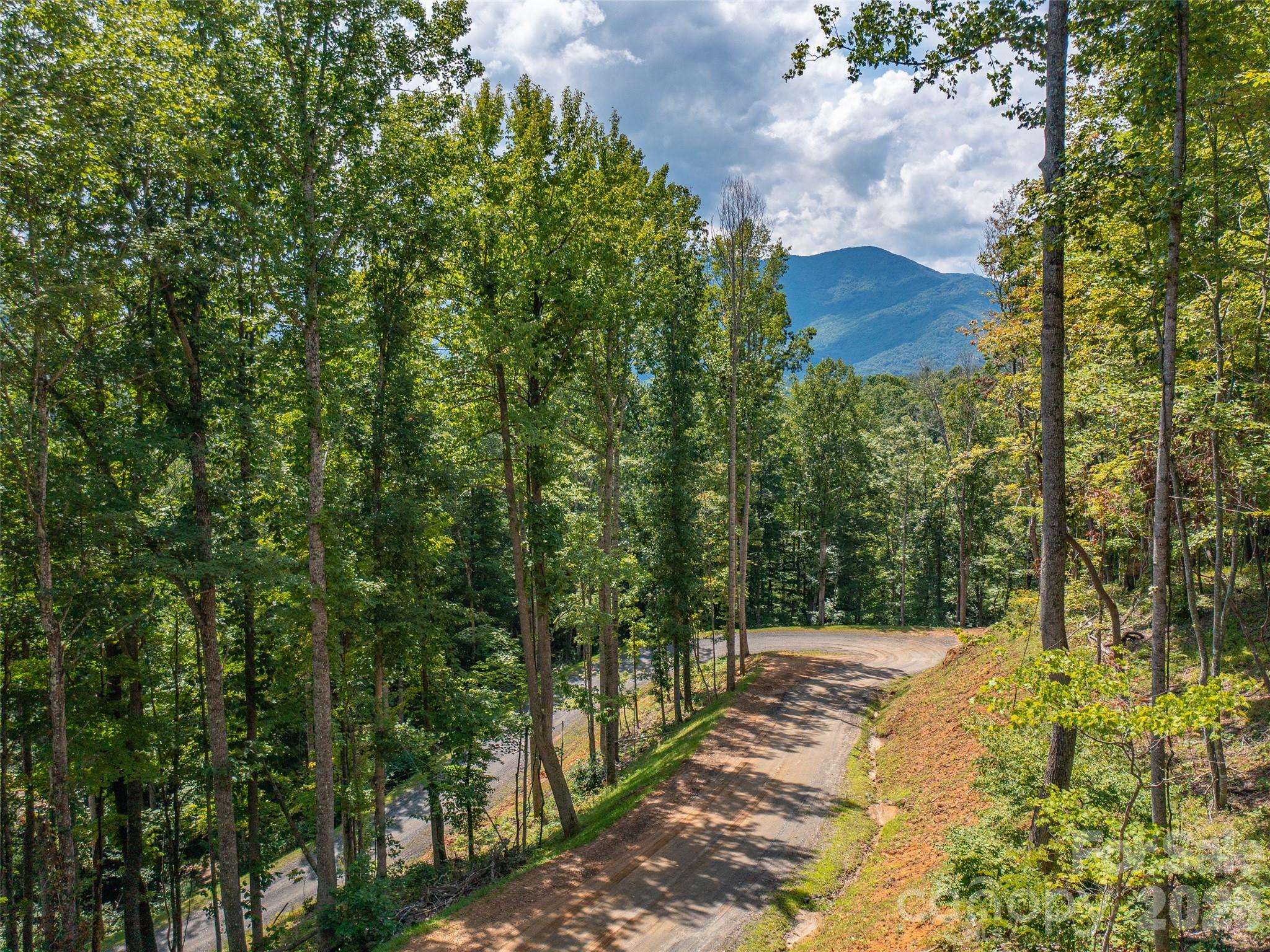 Locust Rough Mountain - Land
