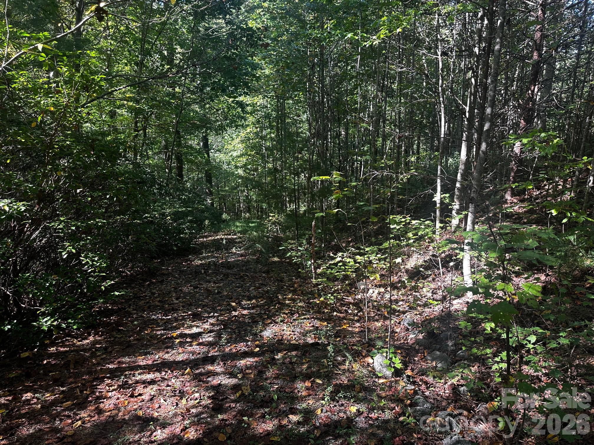 Highlands of Lake Lure - Land