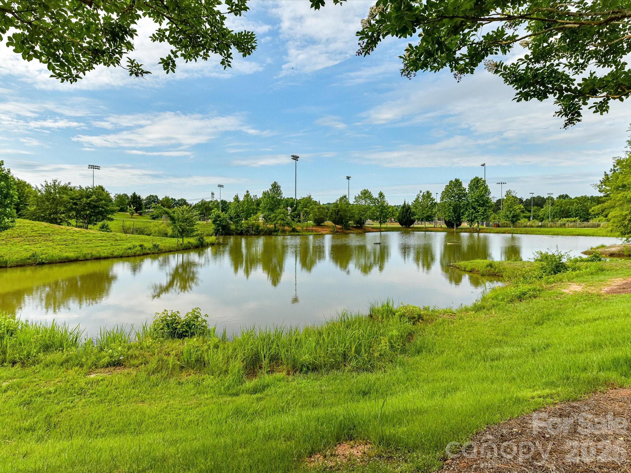 Walnut Creek - Residential