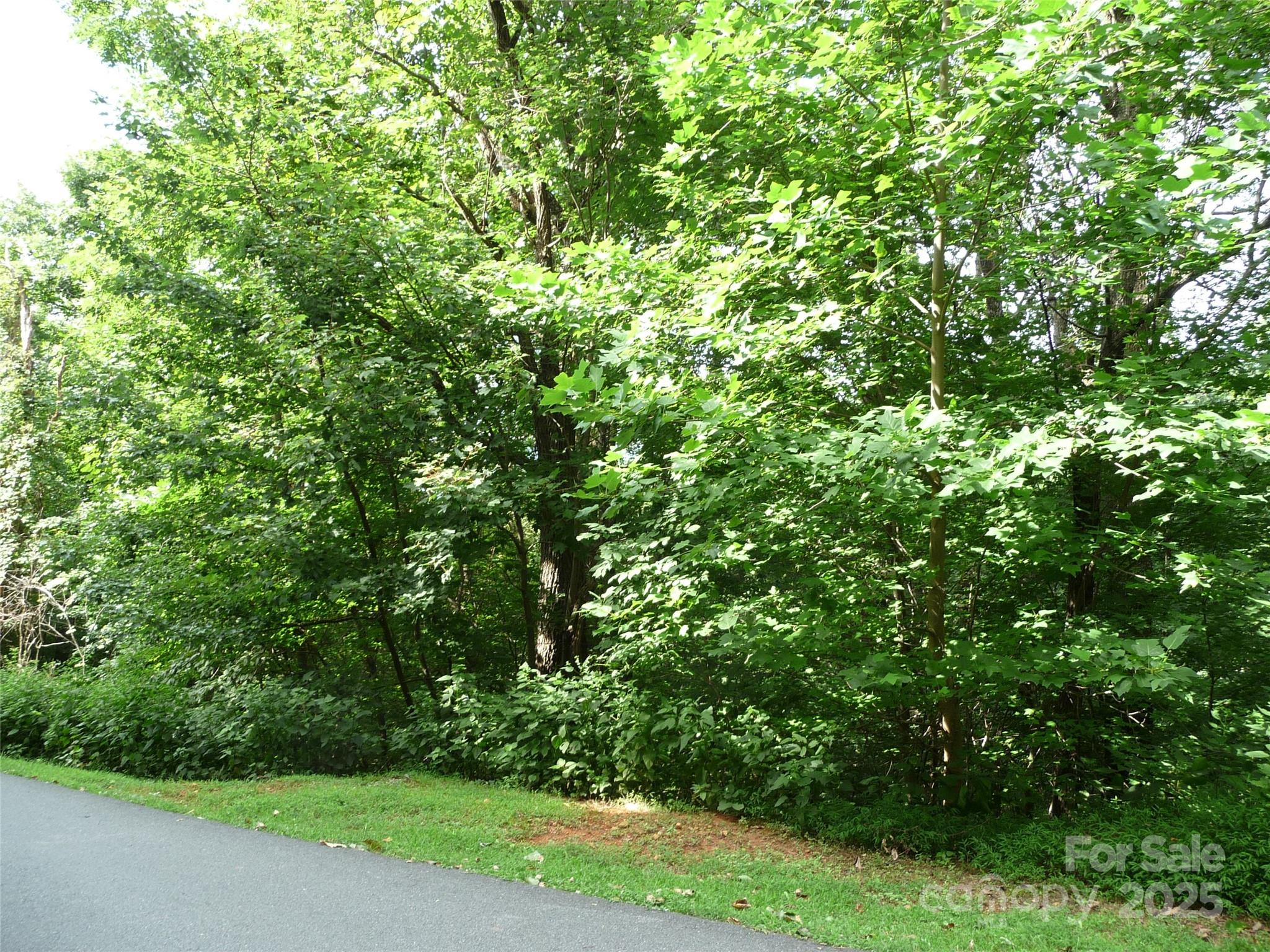 White Oak Mountain - Land