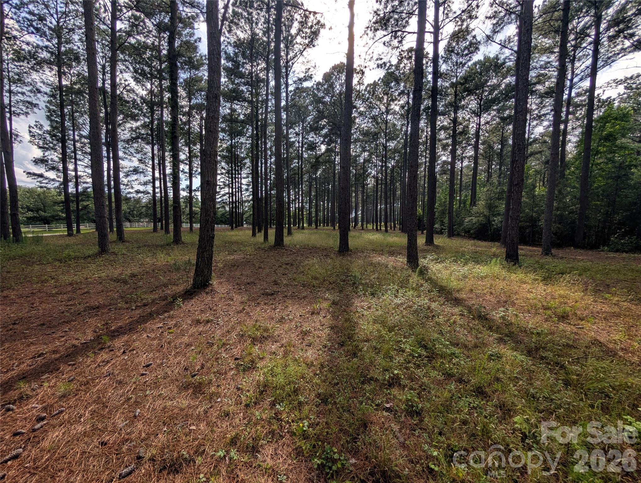 Rare opportunity to own a beautiful 5-acre parcel offering the perfect blend of privacy, rural charm, and convenience. Located in county jurisdiction with NO city taxes, this flat and usable property is increasingly hard to find this close to town. Mature pine trees provide a natural buffer and peaceful setting while still allowing plenty of space to build your dream home.

The property is zoned RMX-20 and will require a private well and septic system. Protective CCRs are in place to help preserve the rural character, aesthetic appeal, and long-term property values of the surrounding homes and acreage parcels. Restrictions include a minimum 1,800 heated square feet, single-family homes only, and no further subdivision of the land.

Whether you're dreaming of a custom home with room to spread out, space for outdoor living, or simply enjoying the peace of country living without sacrificing convenience, this property offers a rare combination of flexibility, privacy, and location.