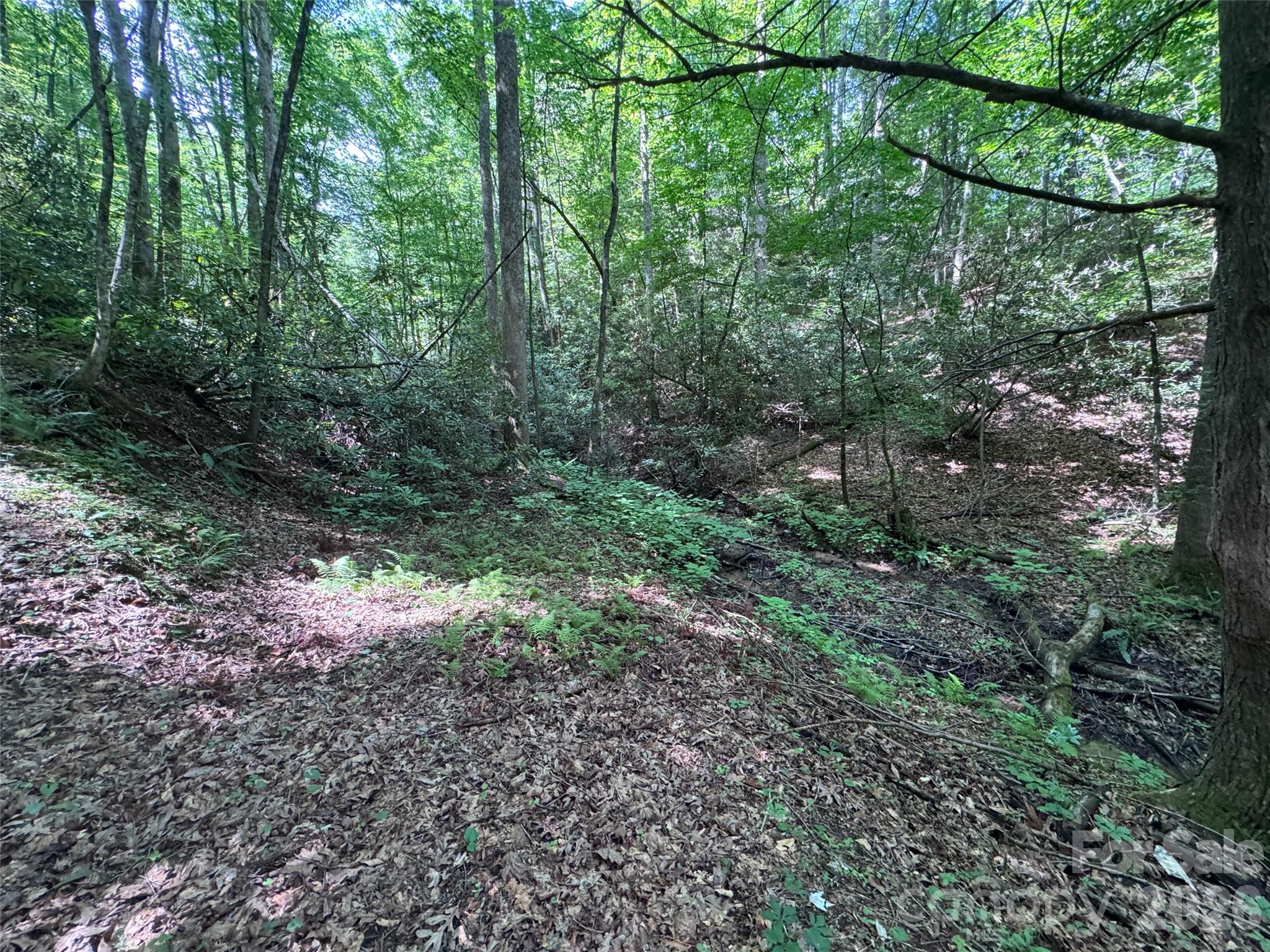 The Reserve - Land