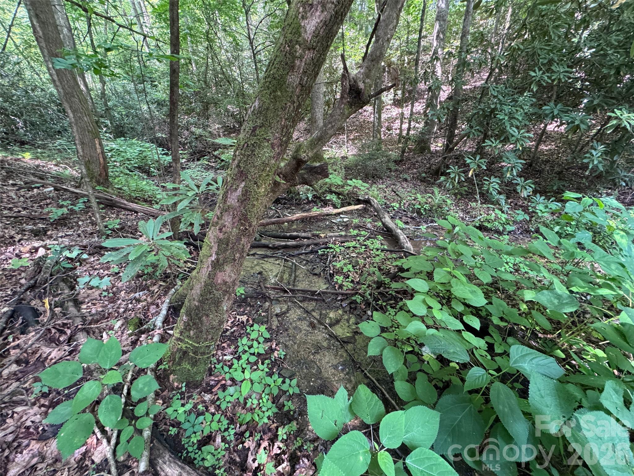 The Reserve - Land