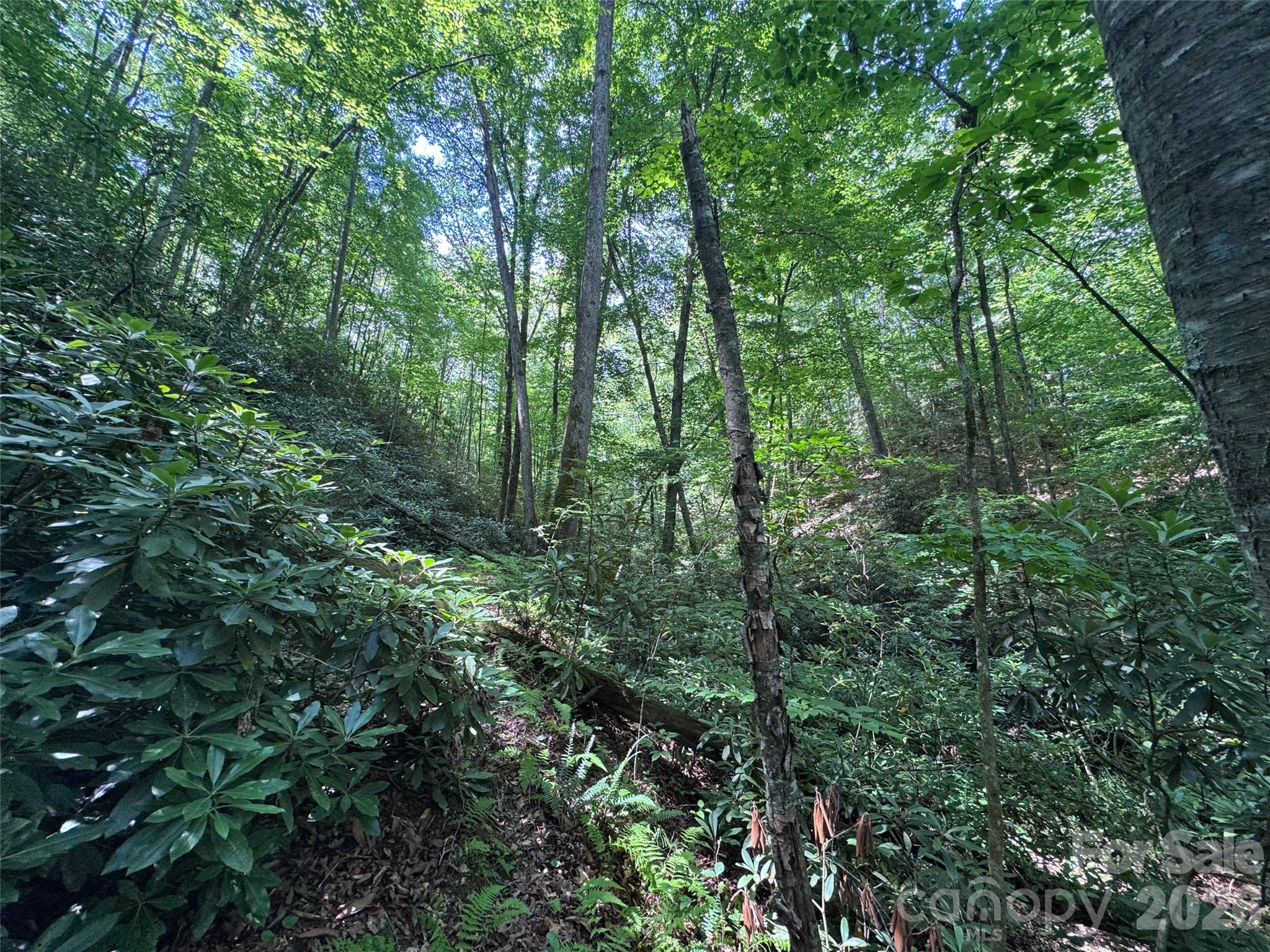The Reserve - Land