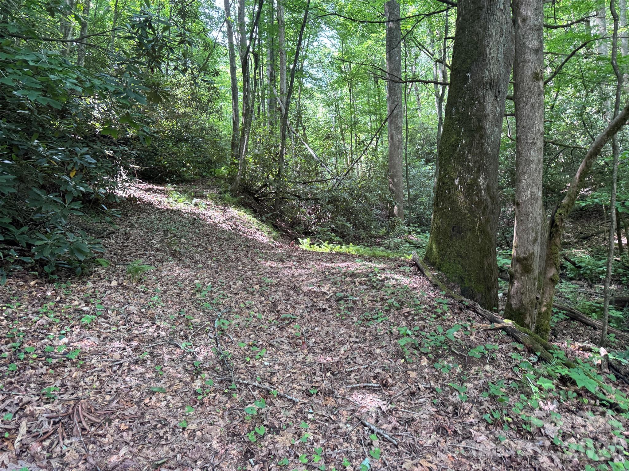 The Reserve - Land