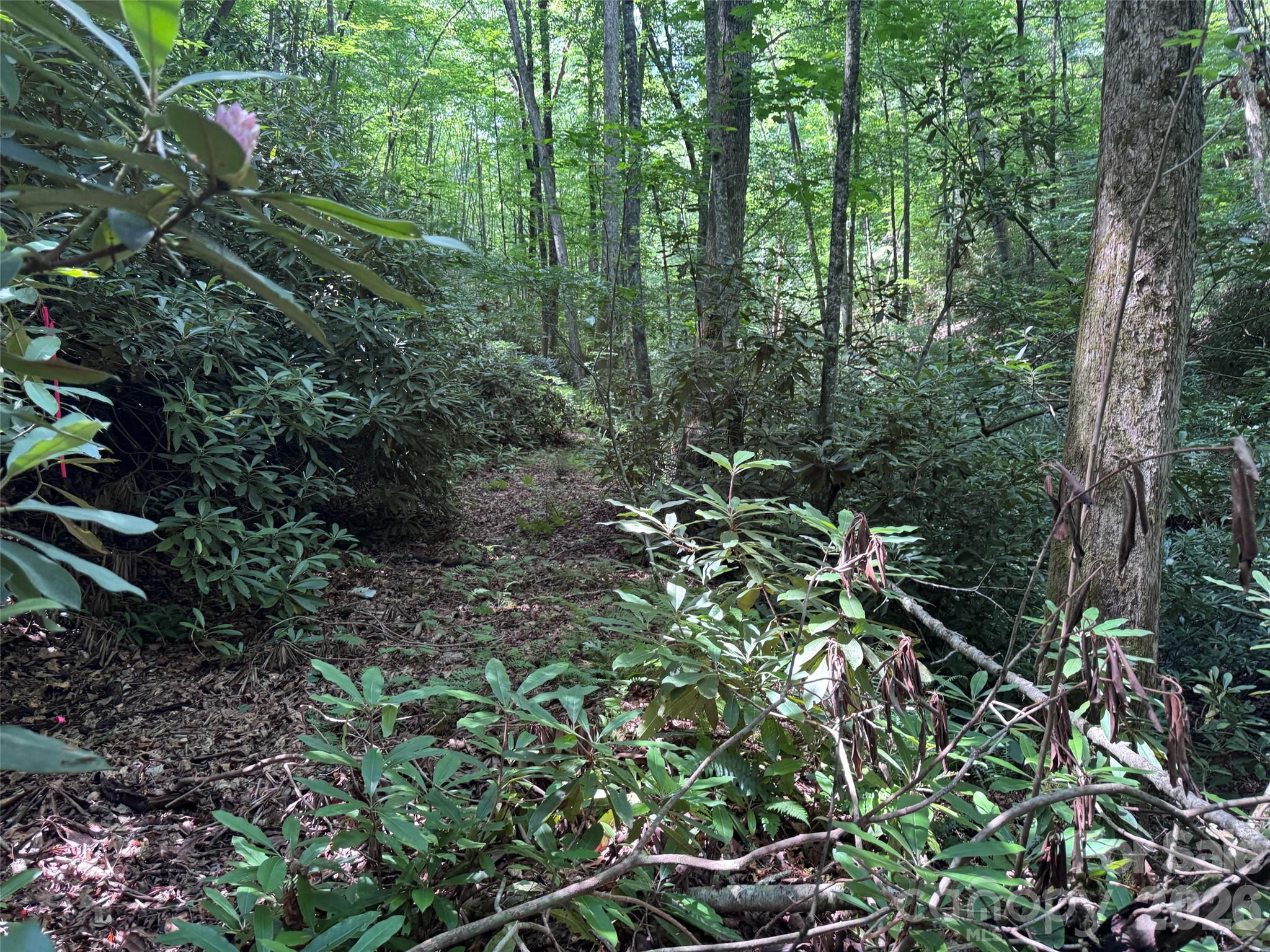 The Reserve - Land