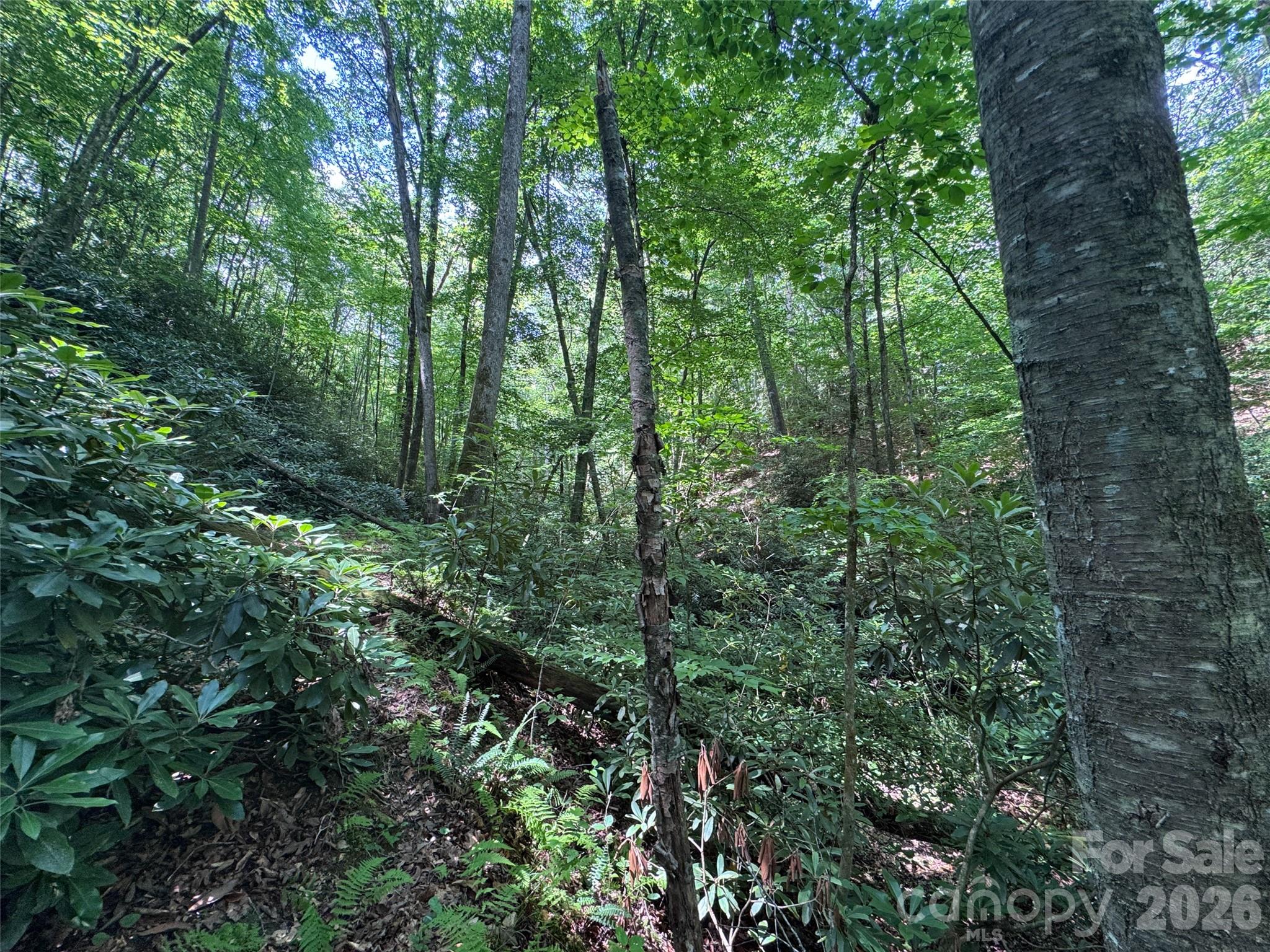 The Reserve - Land